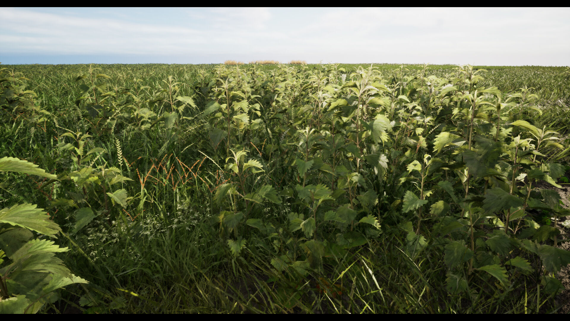 Grass Low-poly 3D model_8