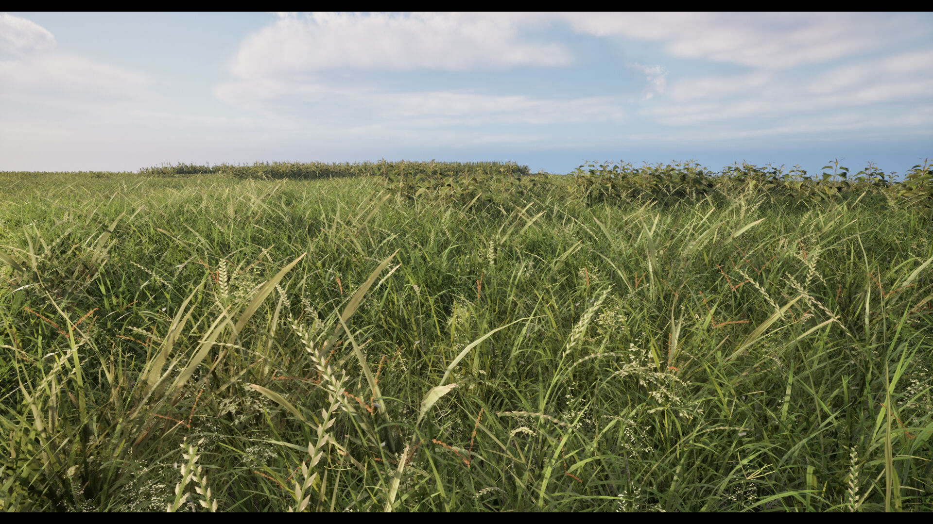 Grass Low-poly 3D model_13