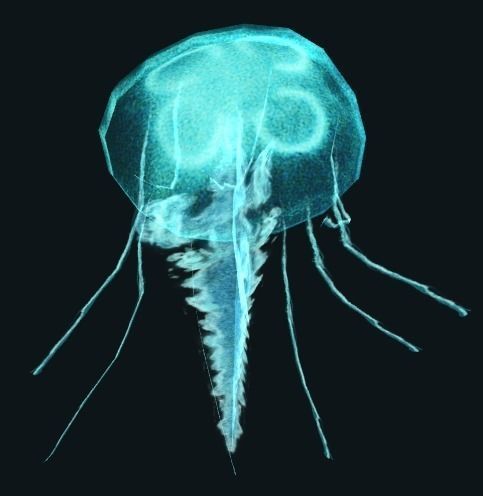 Animated Jellyfish Low-poly 3D model
