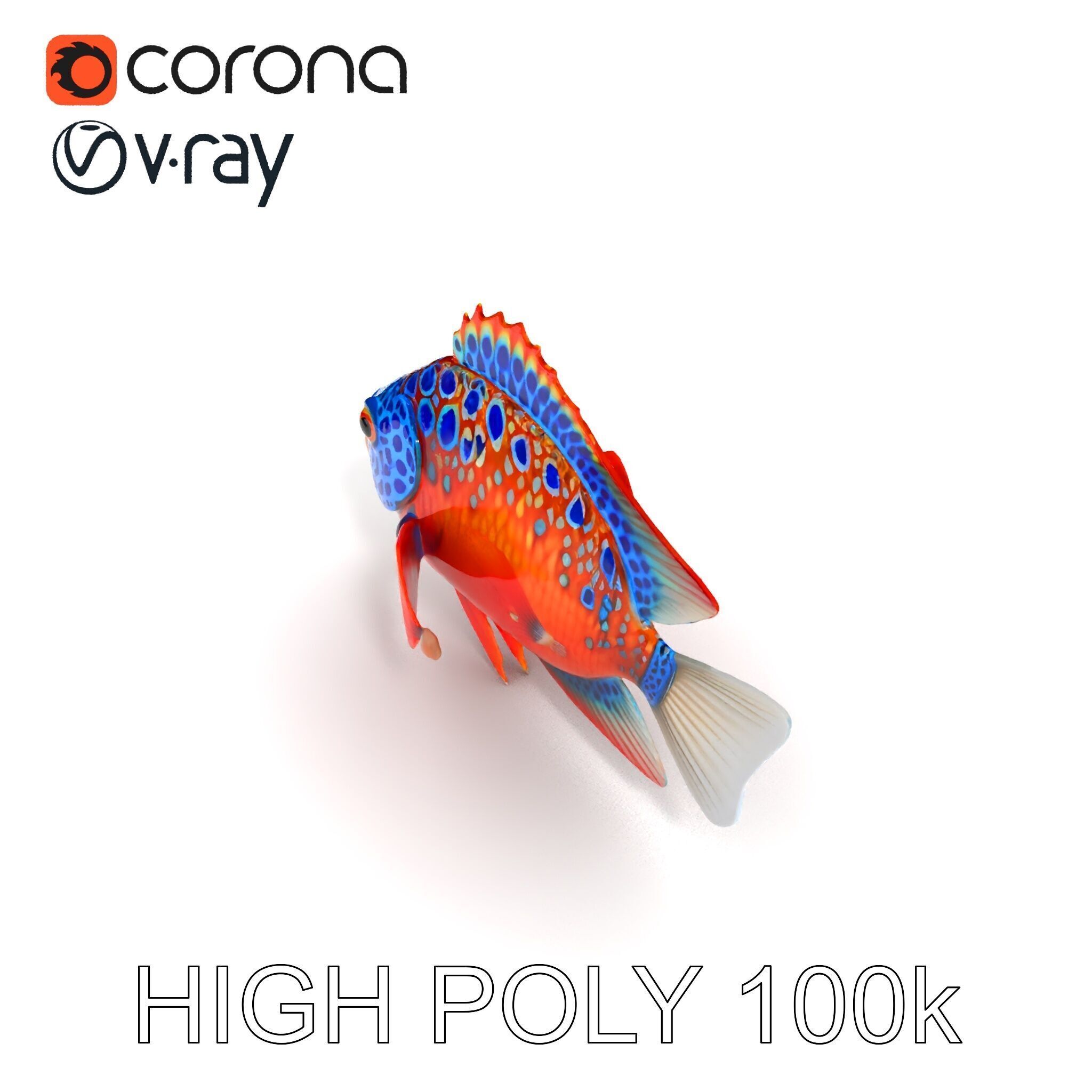 Vibrant Tropical Fish D Model Pack Low-poly 3D model_11
