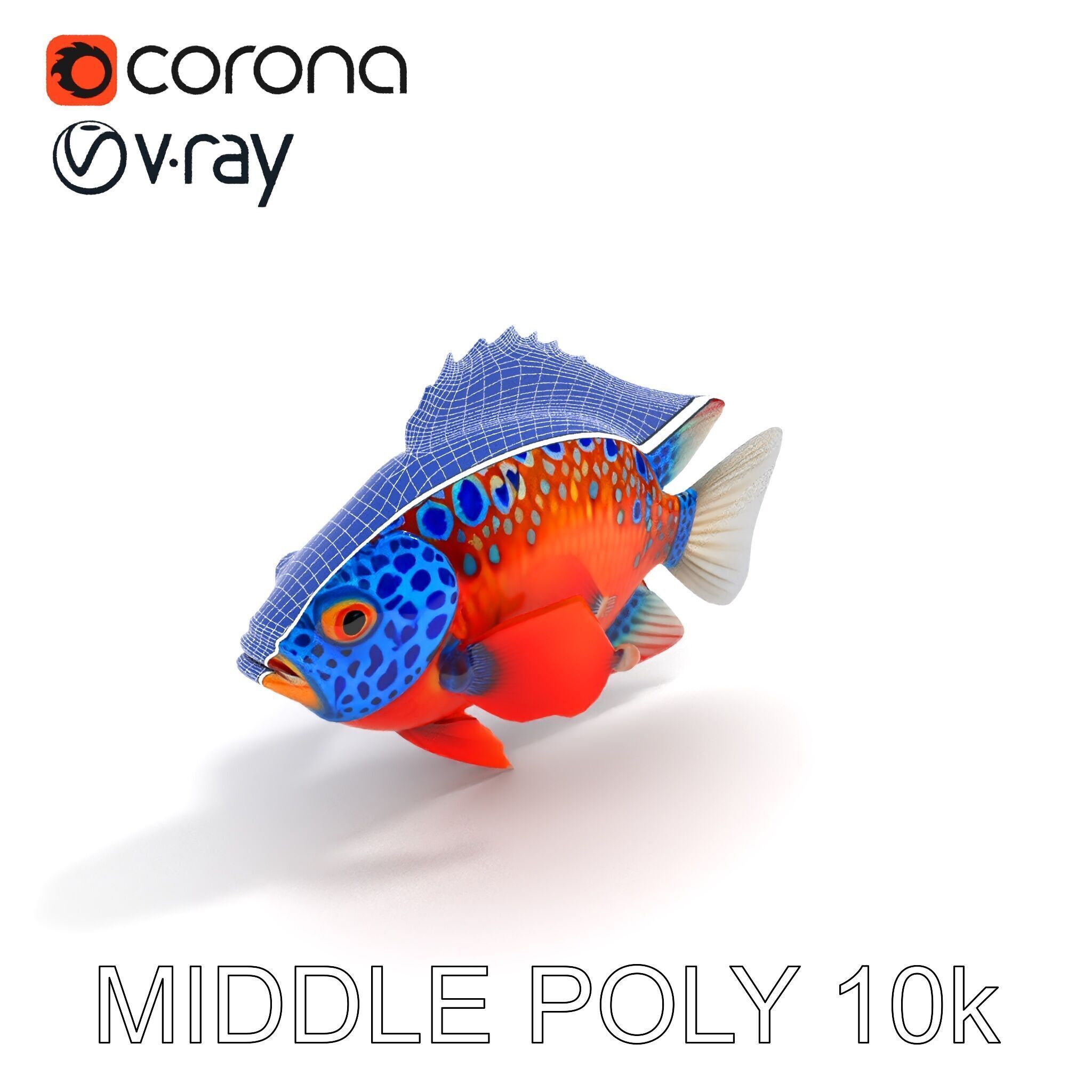 Vibrant Tropical Fish D Model Pack Low-poly 3D model_12