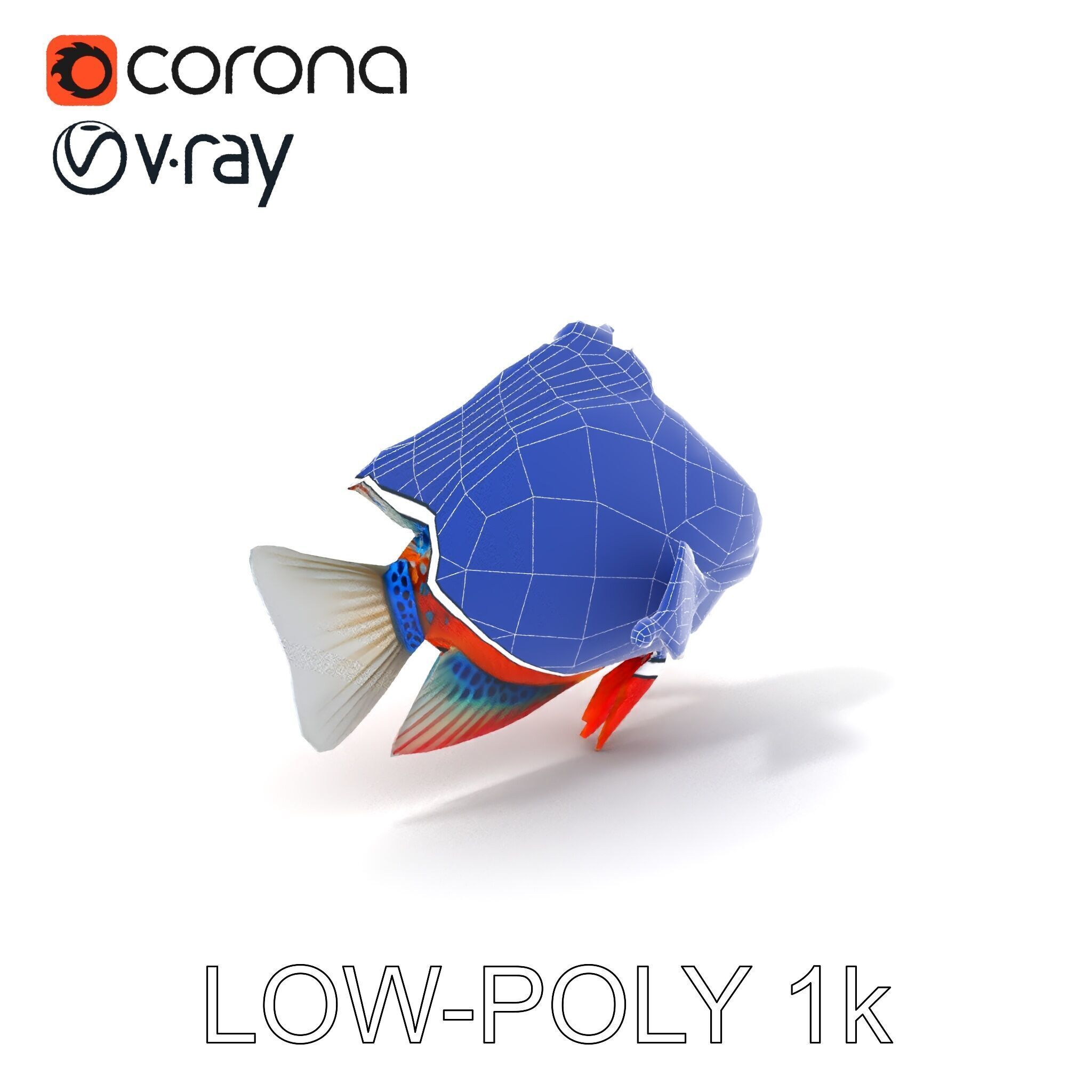 Vibrant Tropical Fish D Model Pack Low-poly 3D model_34