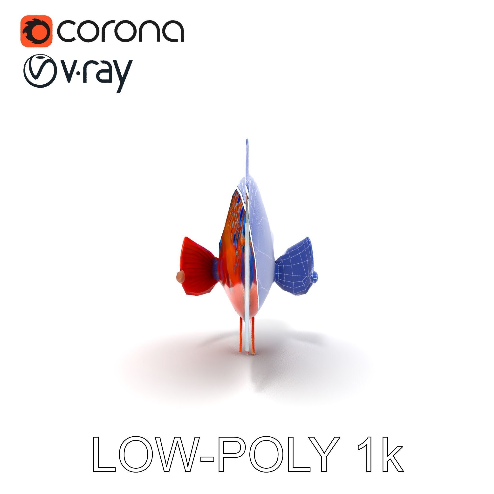 Vibrant Tropical Fish D Model Pack Low-poly 3D model_29