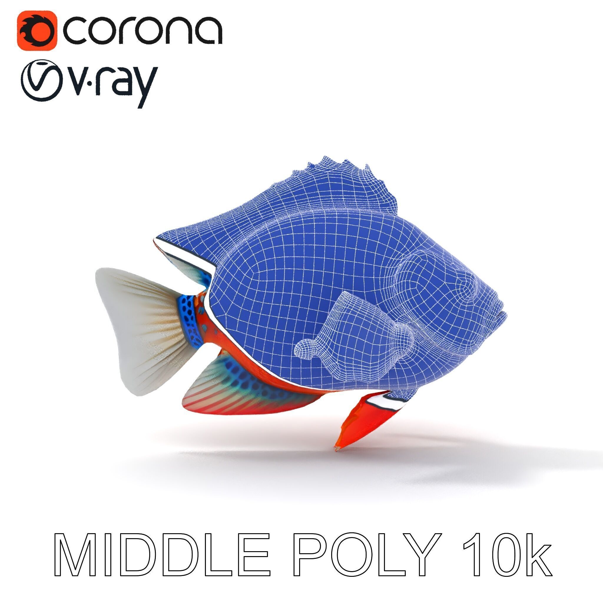 Vibrant Tropical Fish D Model Pack Low-poly 3D model_17
