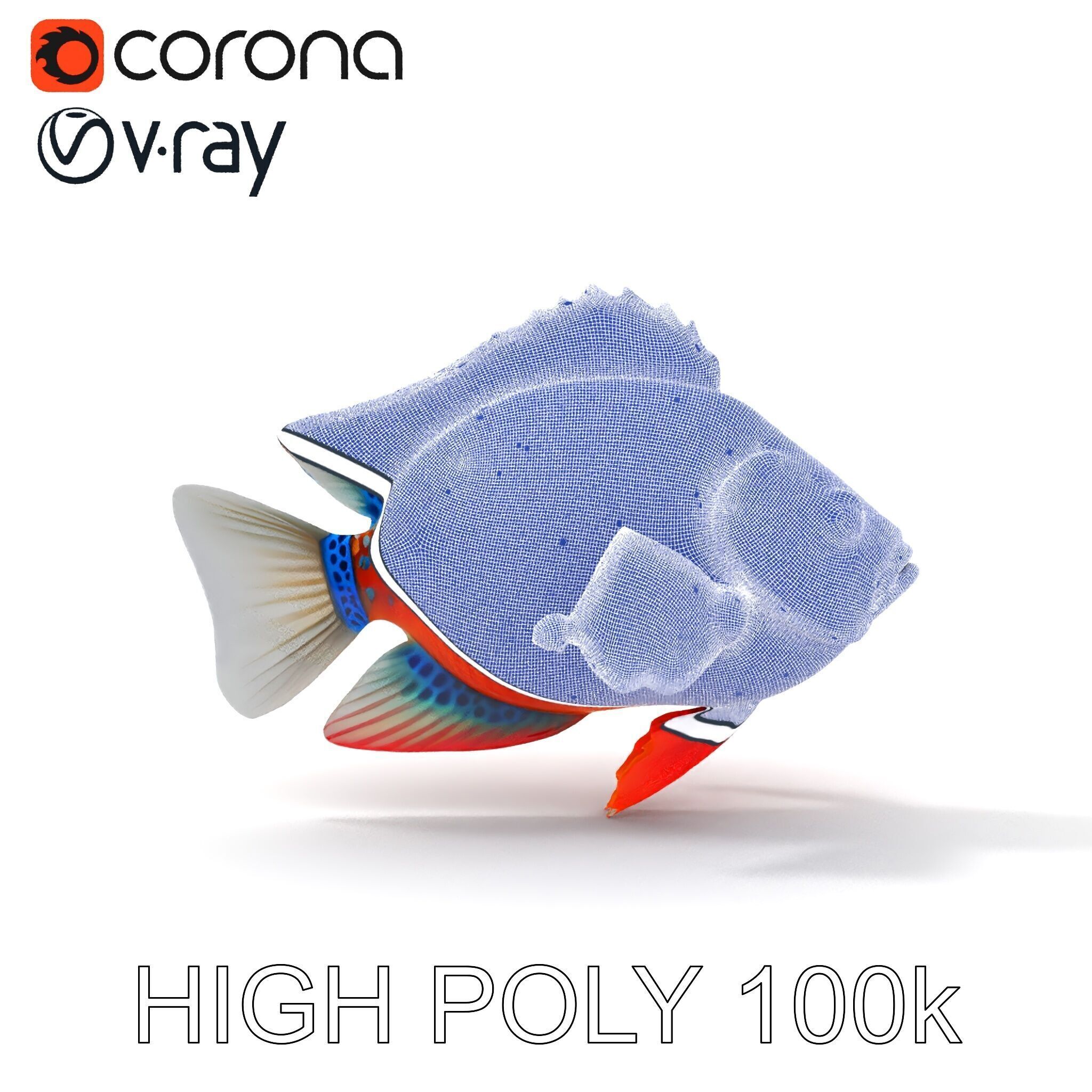 Vibrant Tropical Fish D Model Pack Low-poly 3D model_16