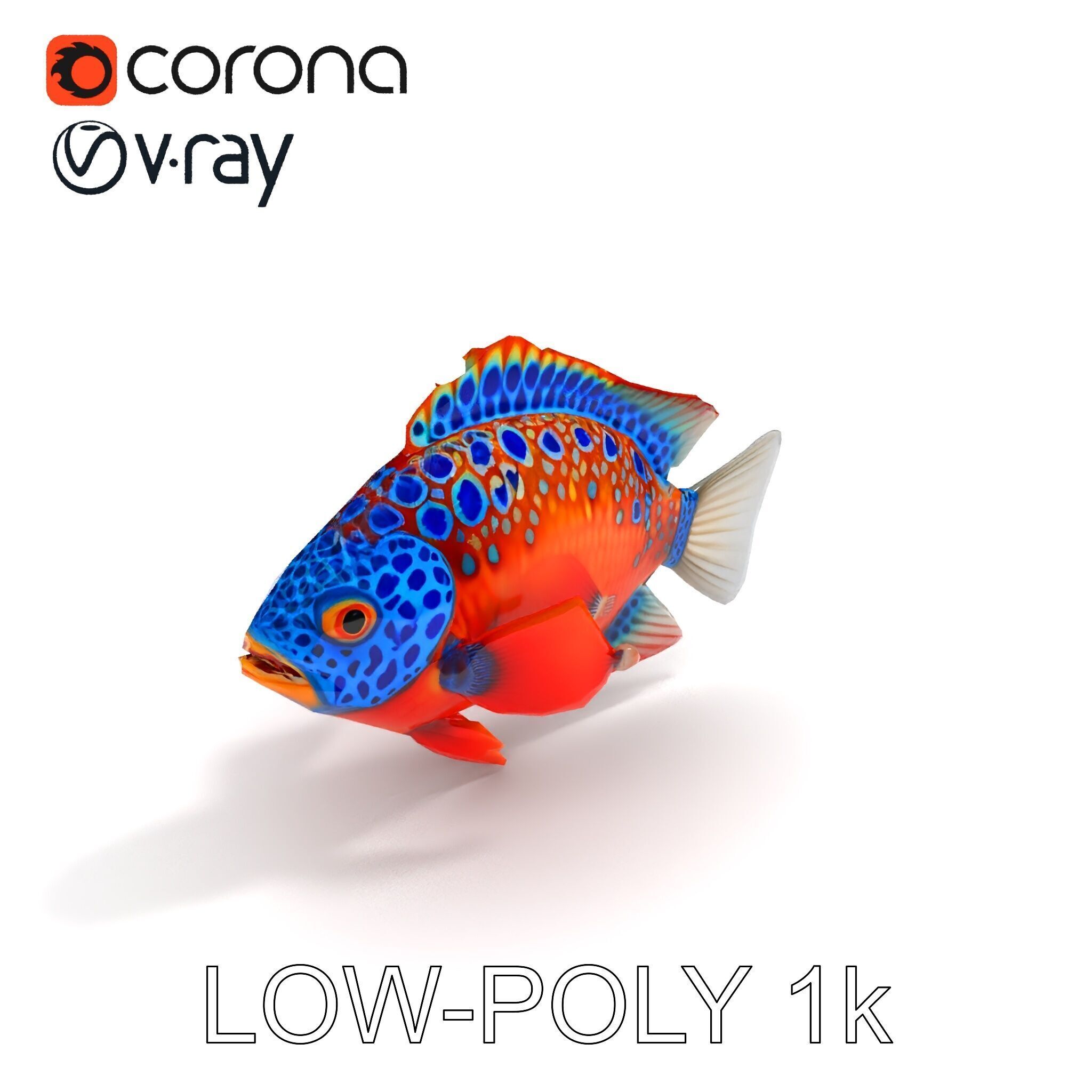 Vibrant Tropical Fish D Model Pack Low-poly 3D model_31
