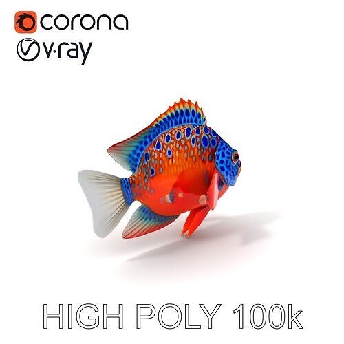 Vibrant Tropical Fish D Model Pack Low-poly 3D model