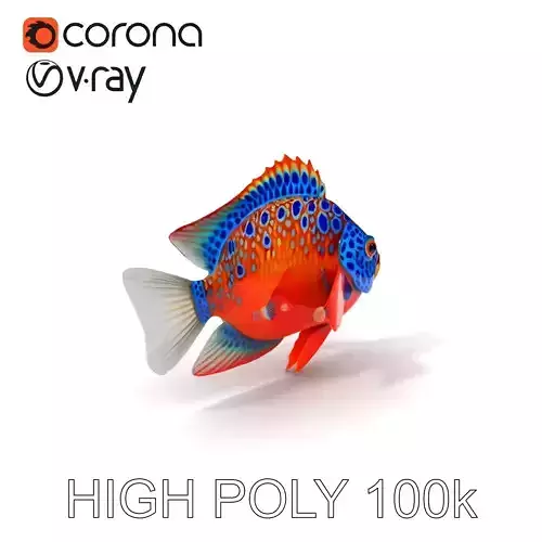Vibrant Tropical Fish D Model Pack Low-poly 3D model