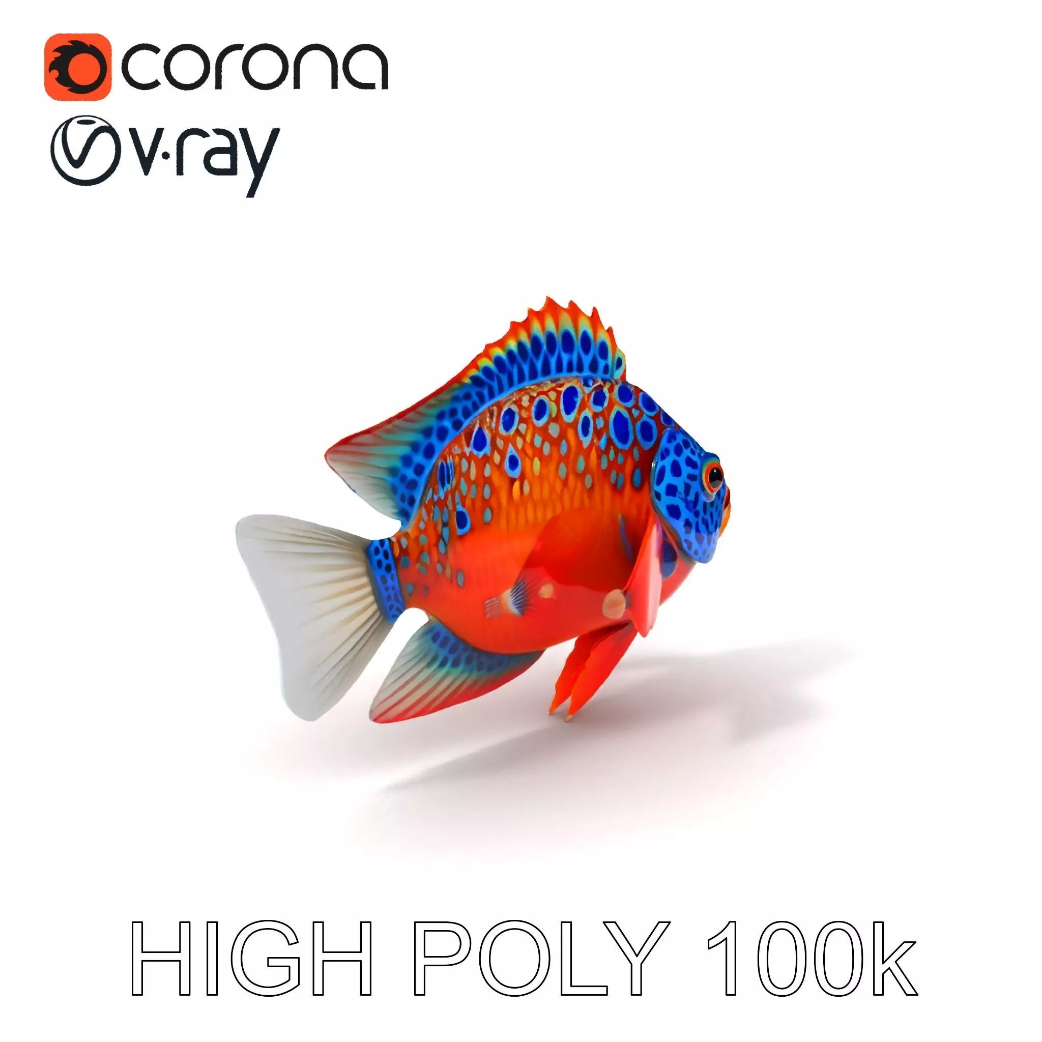 Vibrant Tropical Fish D Model Pack Low-poly 3D model_0