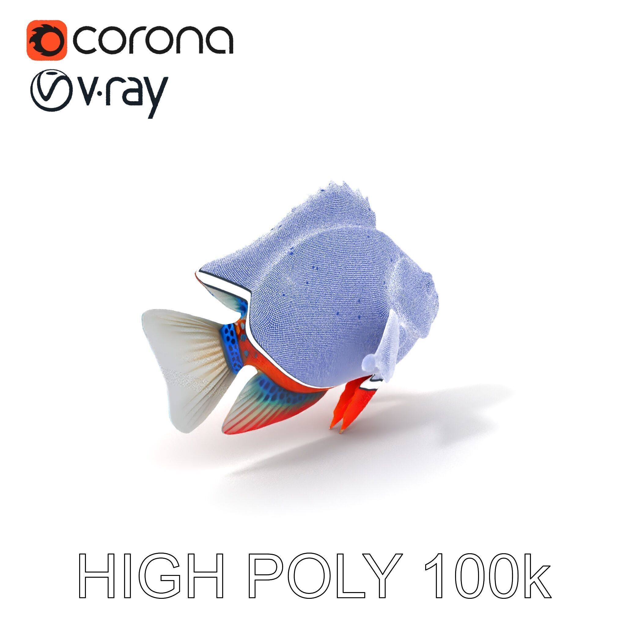 Vibrant Tropical Fish D Model Pack Low-poly 3D model_3