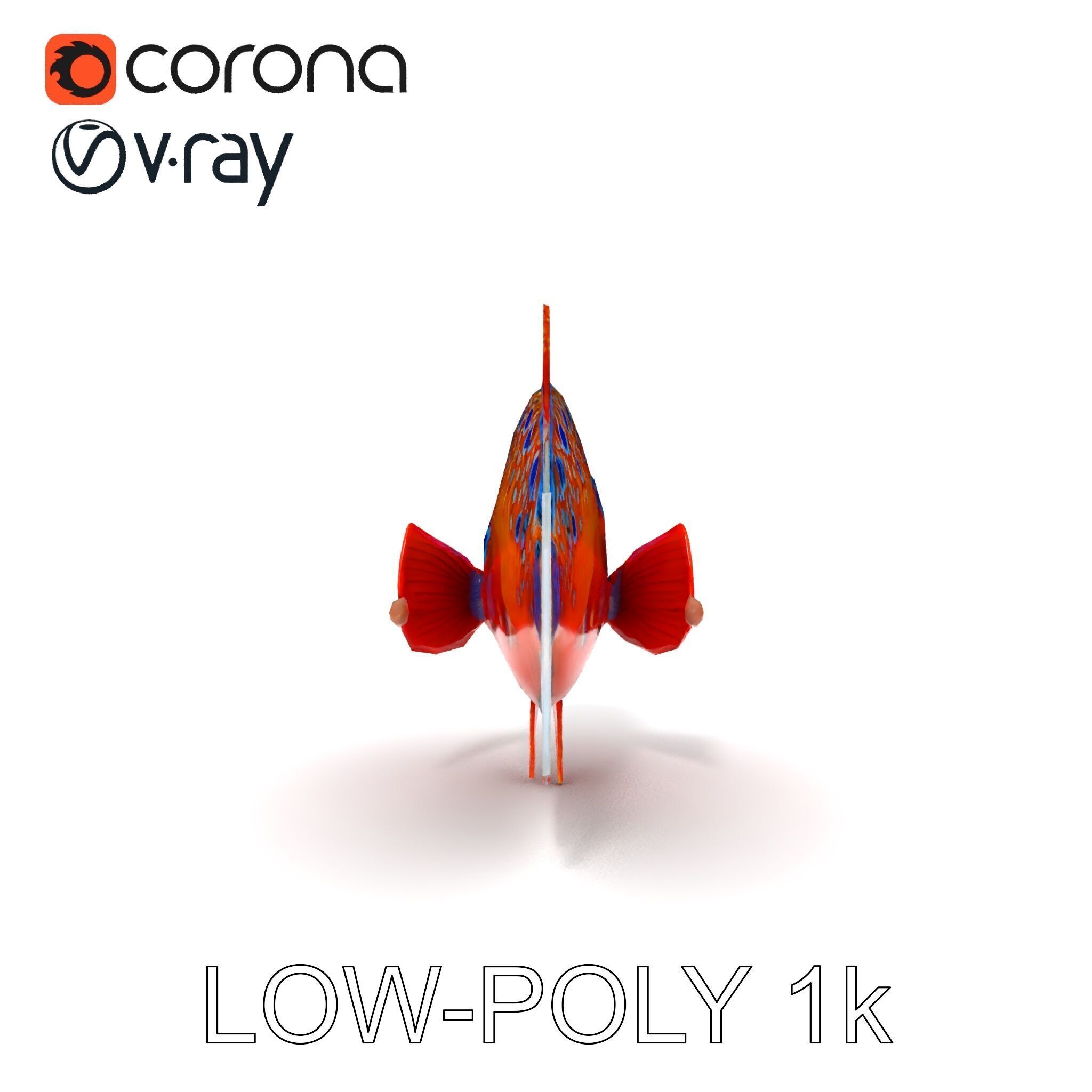 Vibrant Tropical Fish D Model Pack Low-poly 3D model_26