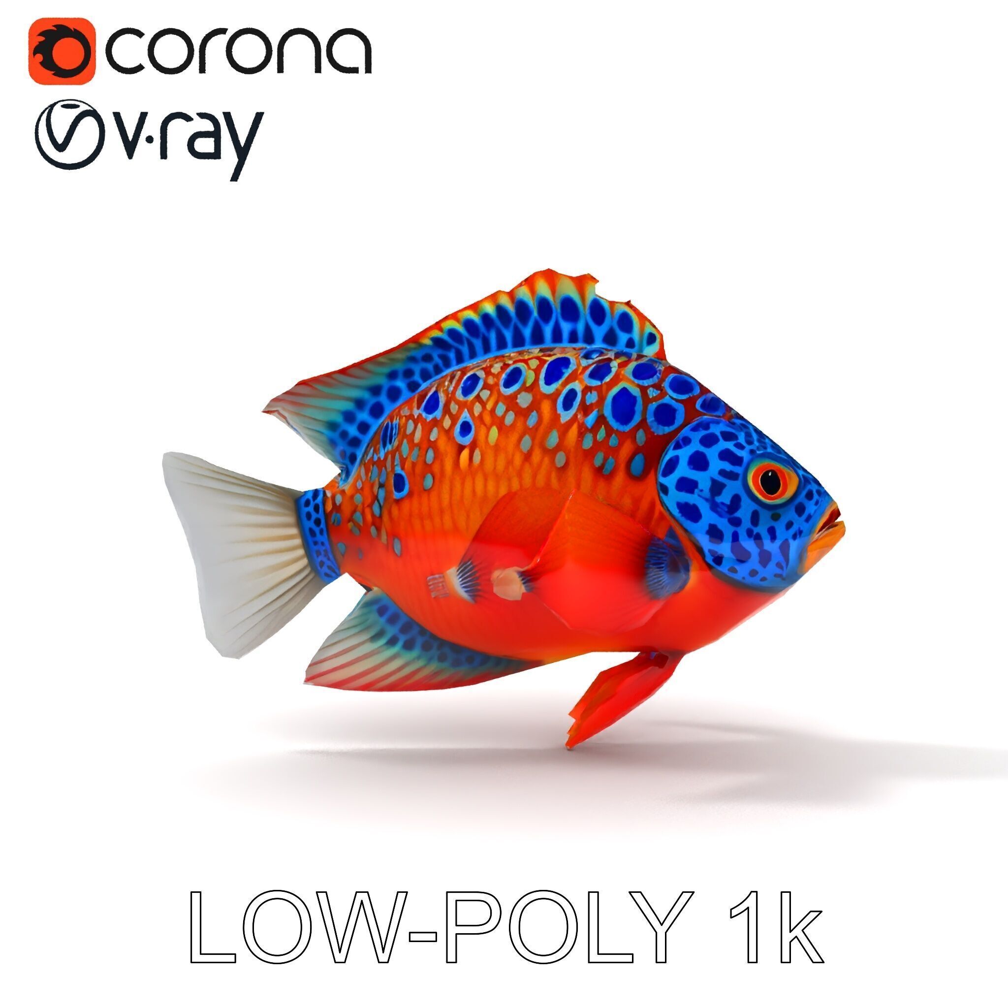 Vibrant Tropical Fish D Model Pack Low-poly 3D model_18