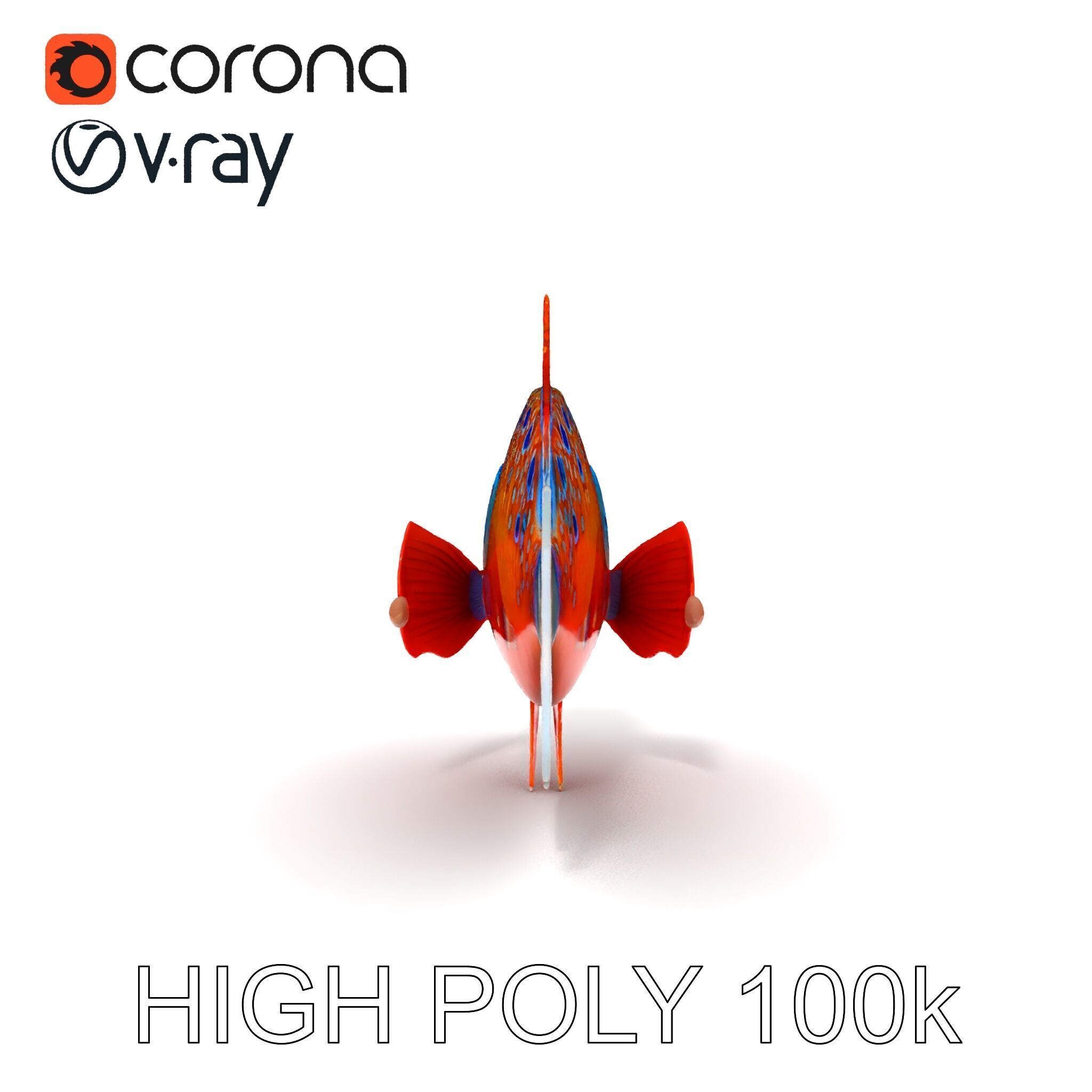 Vibrant Tropical Fish D Model Pack Low-poly 3D model_19