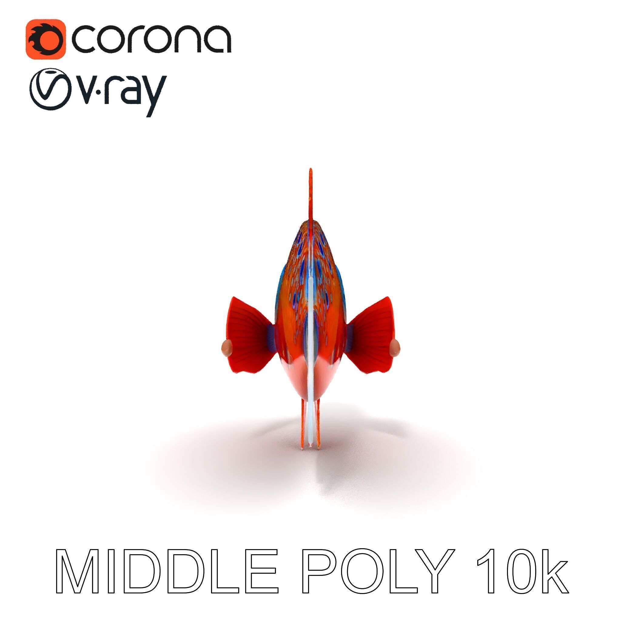 Vibrant Tropical Fish D Model Pack Low-poly 3D model_6