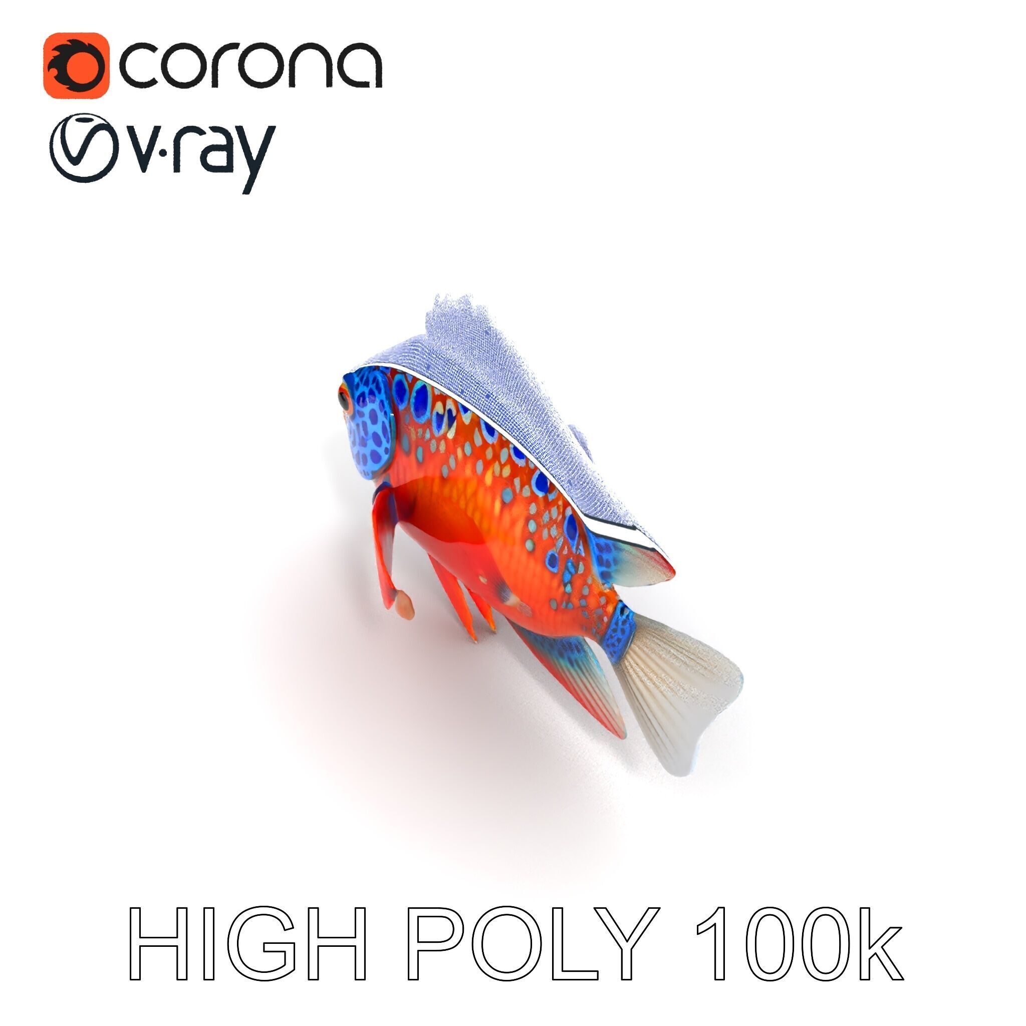 Vibrant Tropical Fish D Model Pack Low-poly 3D model_27