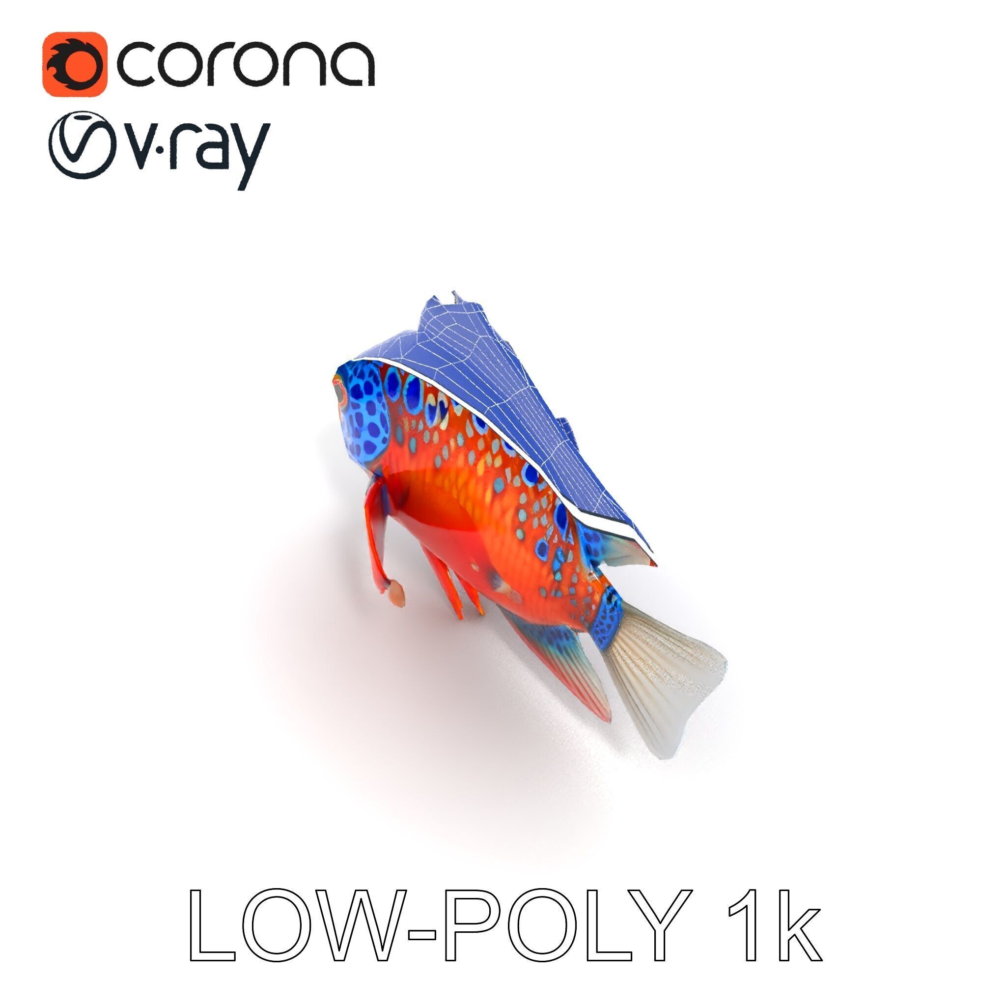 Vibrant Tropical Fish D Model Pack Low-poly 3D model_10