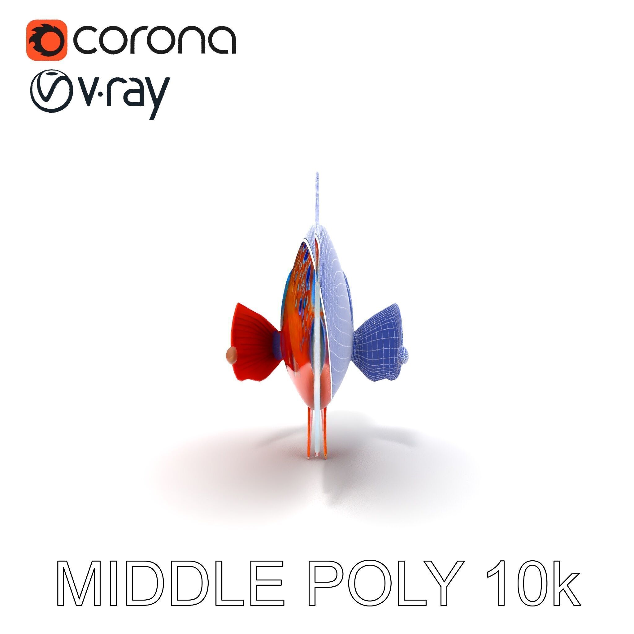 Vibrant Tropical Fish D Model Pack Low-poly 3D model_9