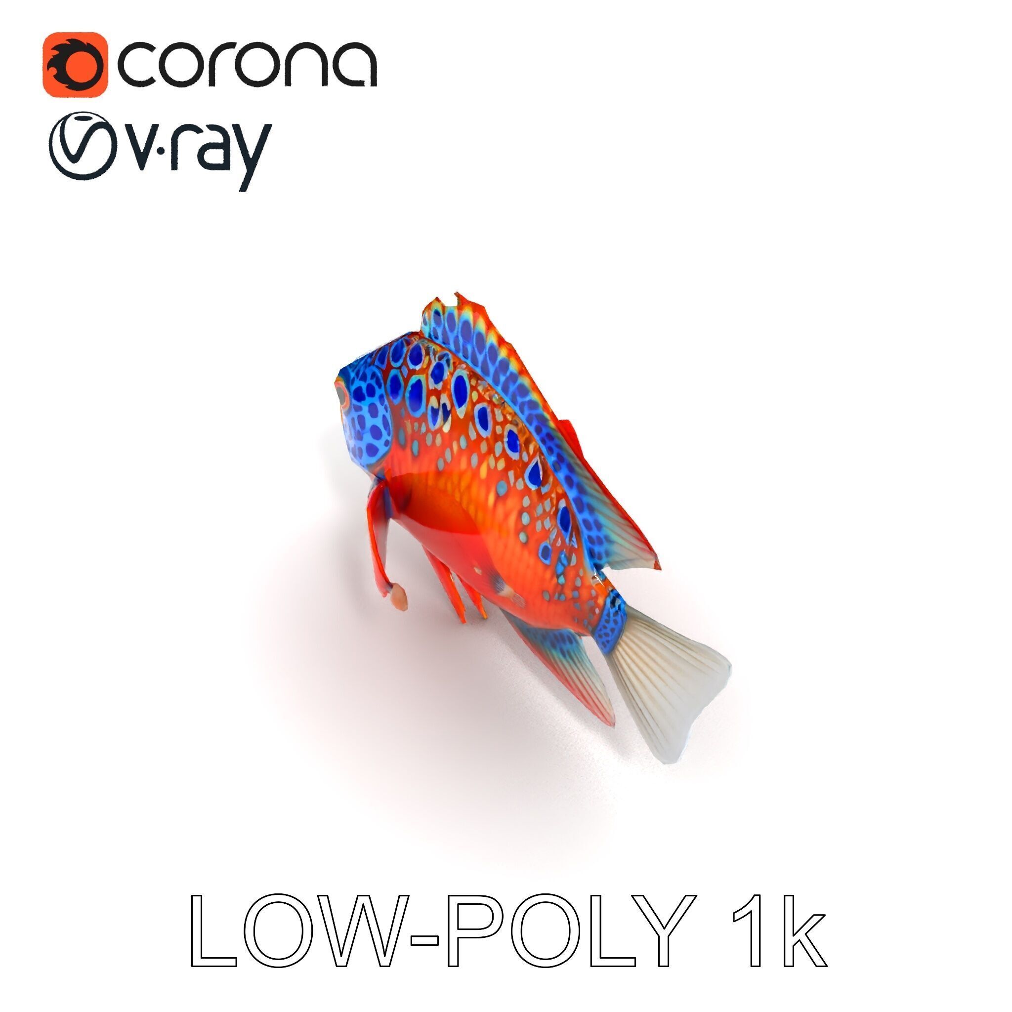 Vibrant Tropical Fish D Model Pack Low-poly 3D model_15