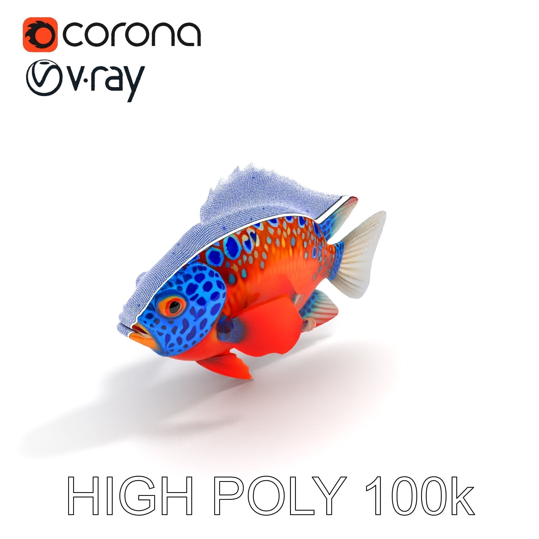 Vibrant Tropical Fish D Model Pack Low-poly 3D model_32