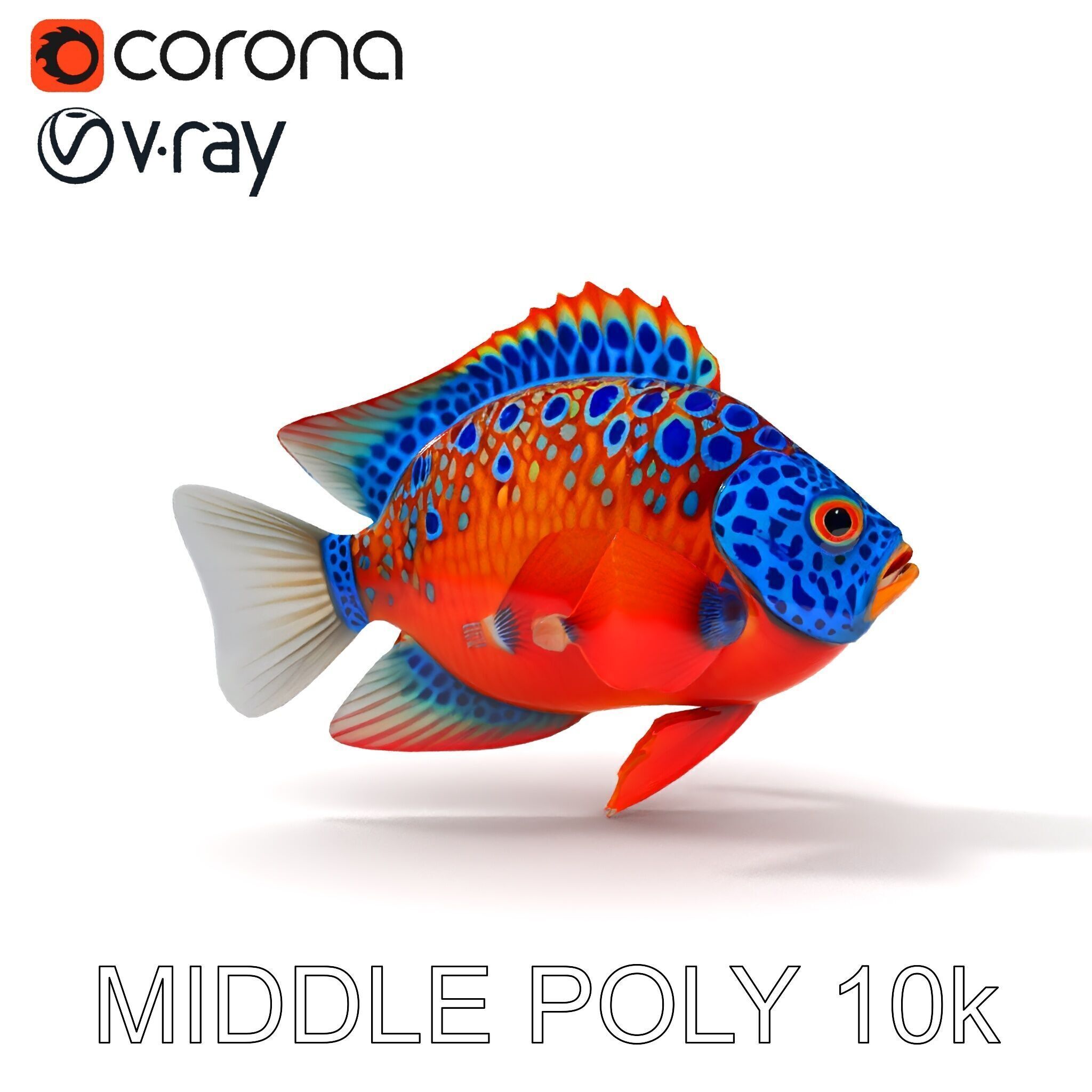 Vibrant Tropical Fish D Model Pack Low-poly 3D model_14