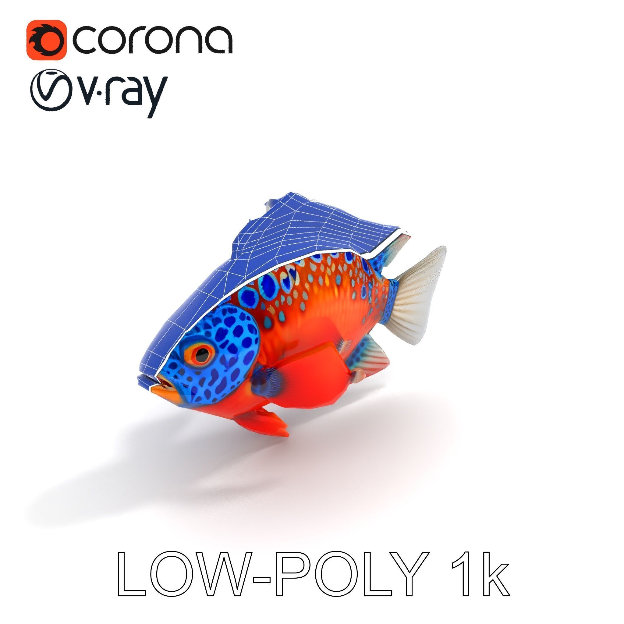 Vibrant Tropical Fish D Model Pack Low-poly 3D model_21