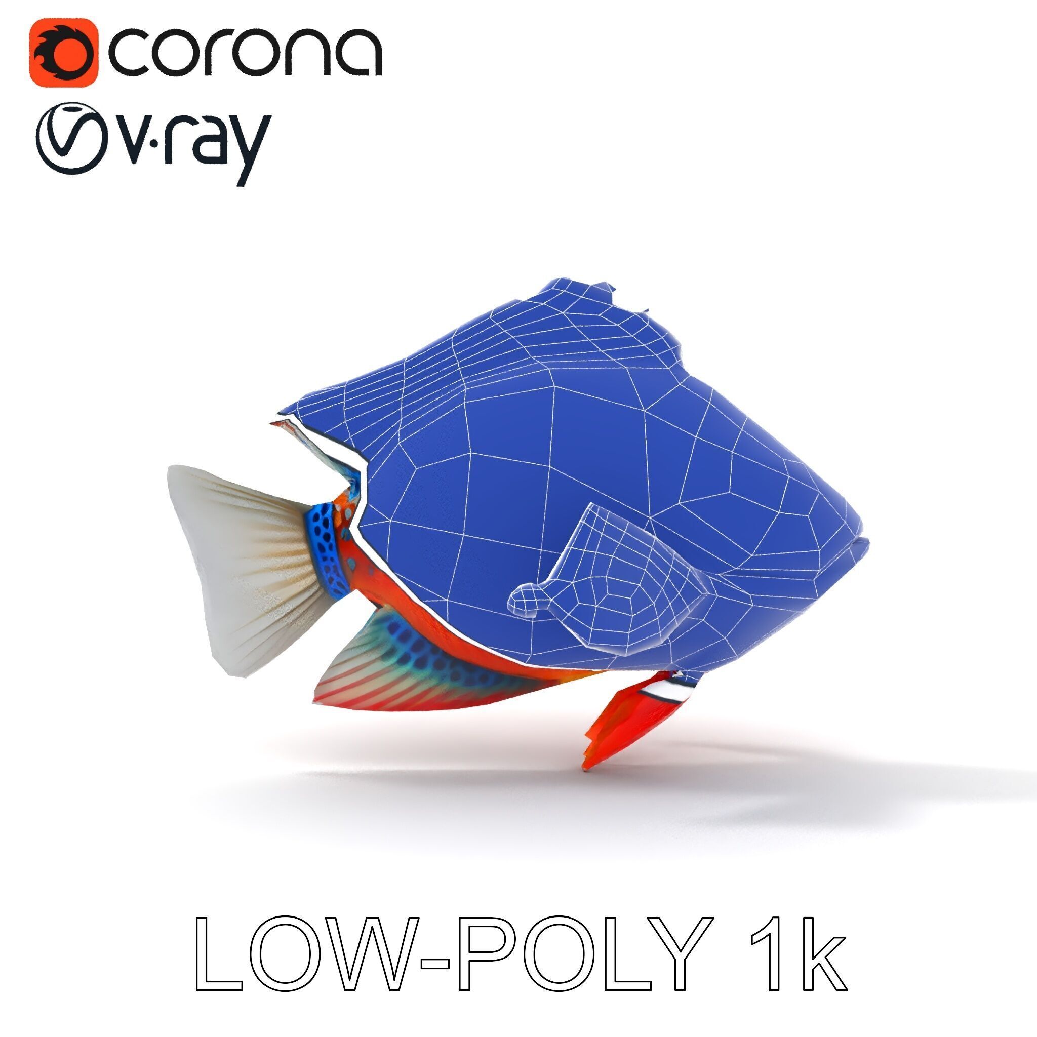 Vibrant Tropical Fish D Model Pack Low-poly 3D model_23