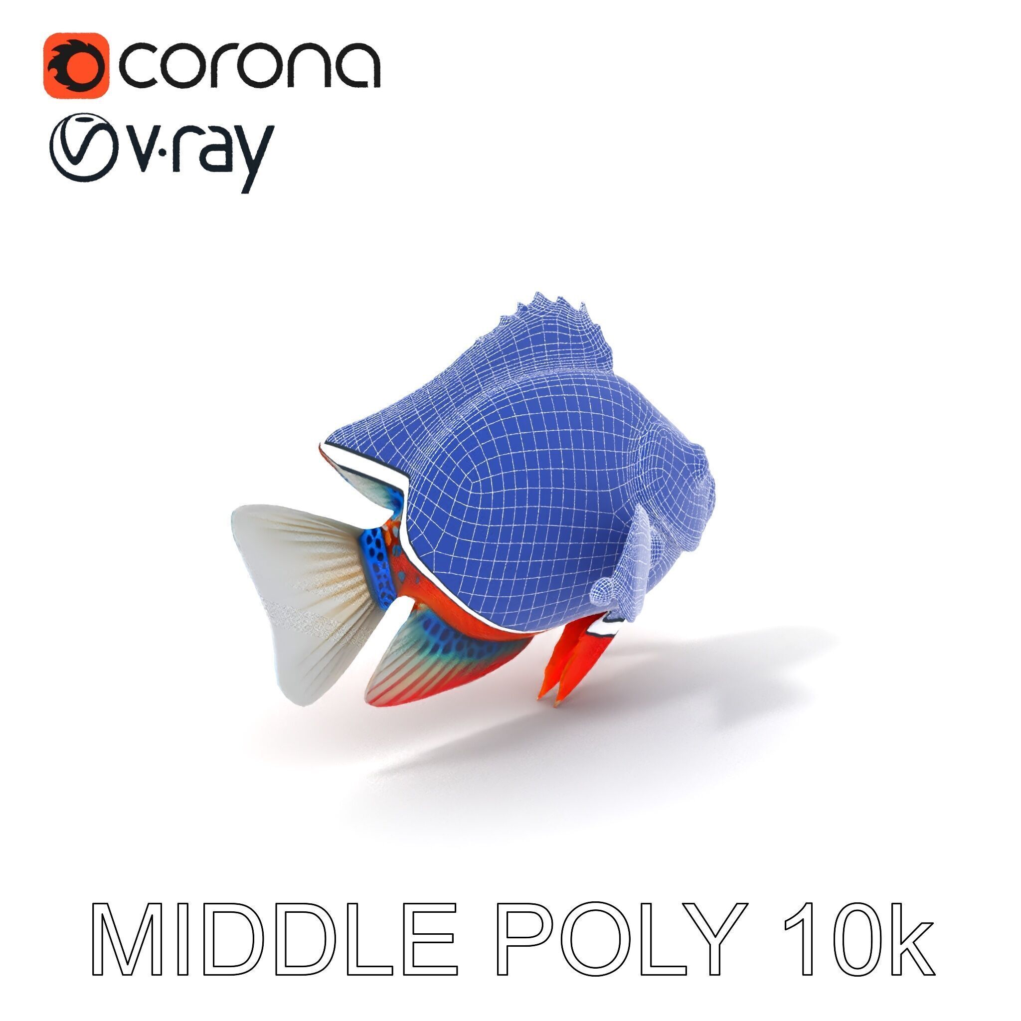 Vibrant Tropical Fish D Model Pack Low-poly 3D model_28