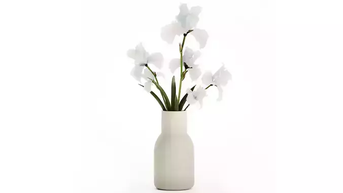 Beautiful white small bouquet in a vase  flowers Iris Set 563