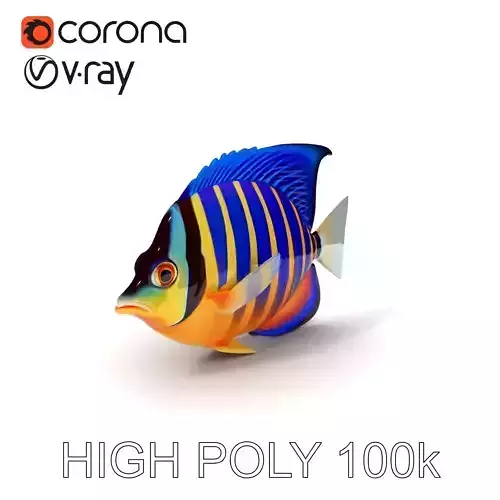 Colorful Tropical Fish Model Pack Low-poly 3D model