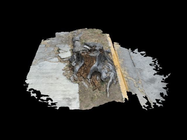 Tree dead animal lying Free 3D model
