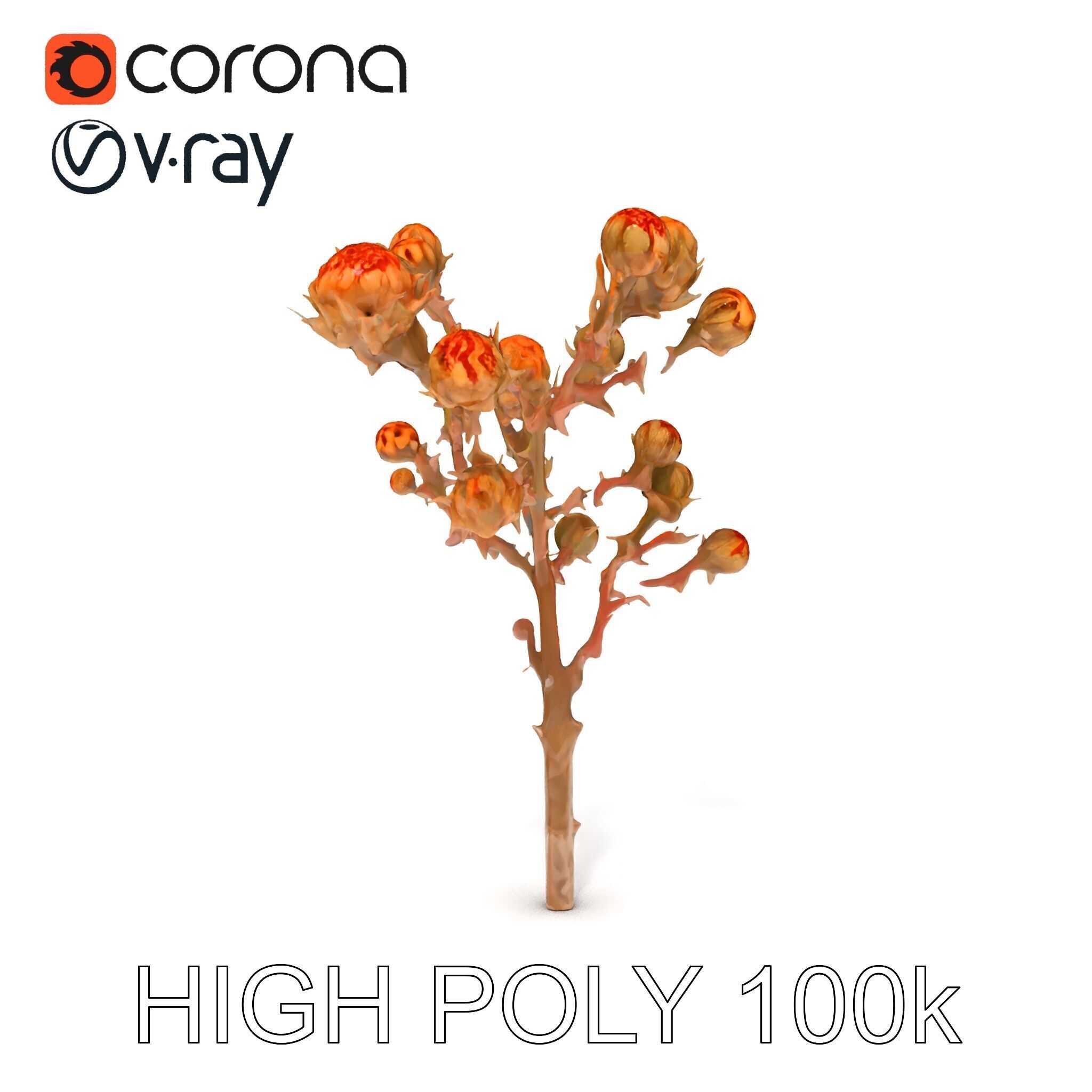 Dried Branch with Buds Model Pack Low-poly 3D model_8