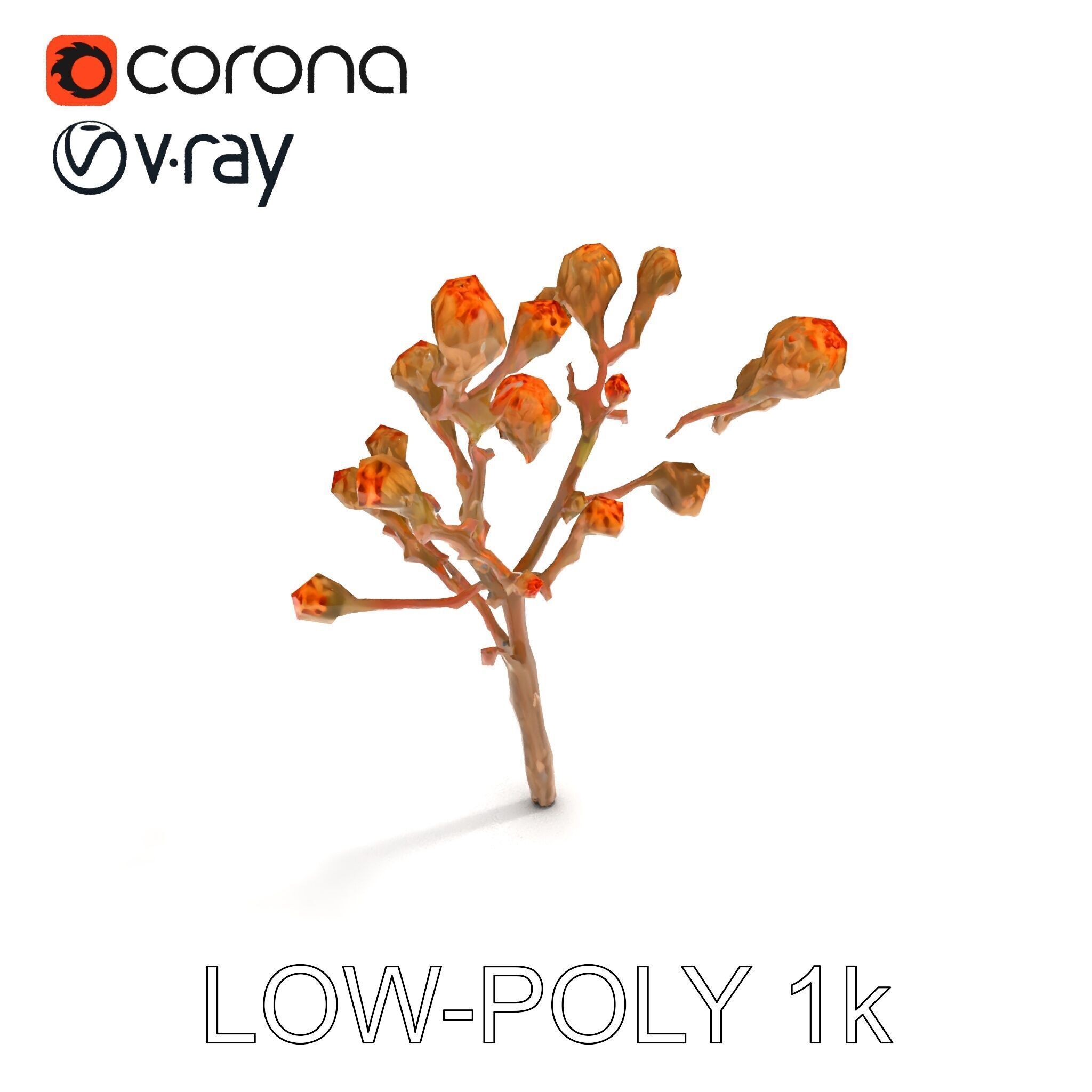Dried Branch with Buds Model Pack Low-poly 3D model_16