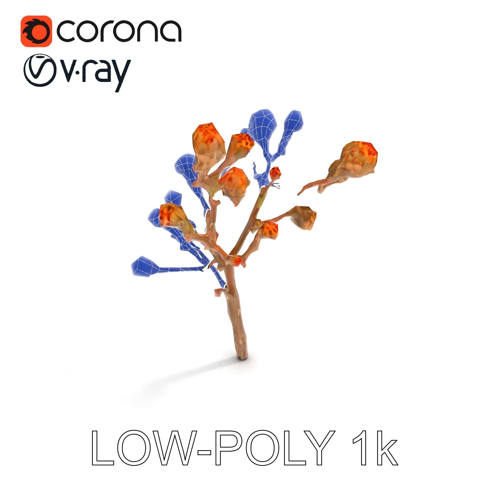 Dried Branch with Buds Model Pack Low-poly 3D model_7