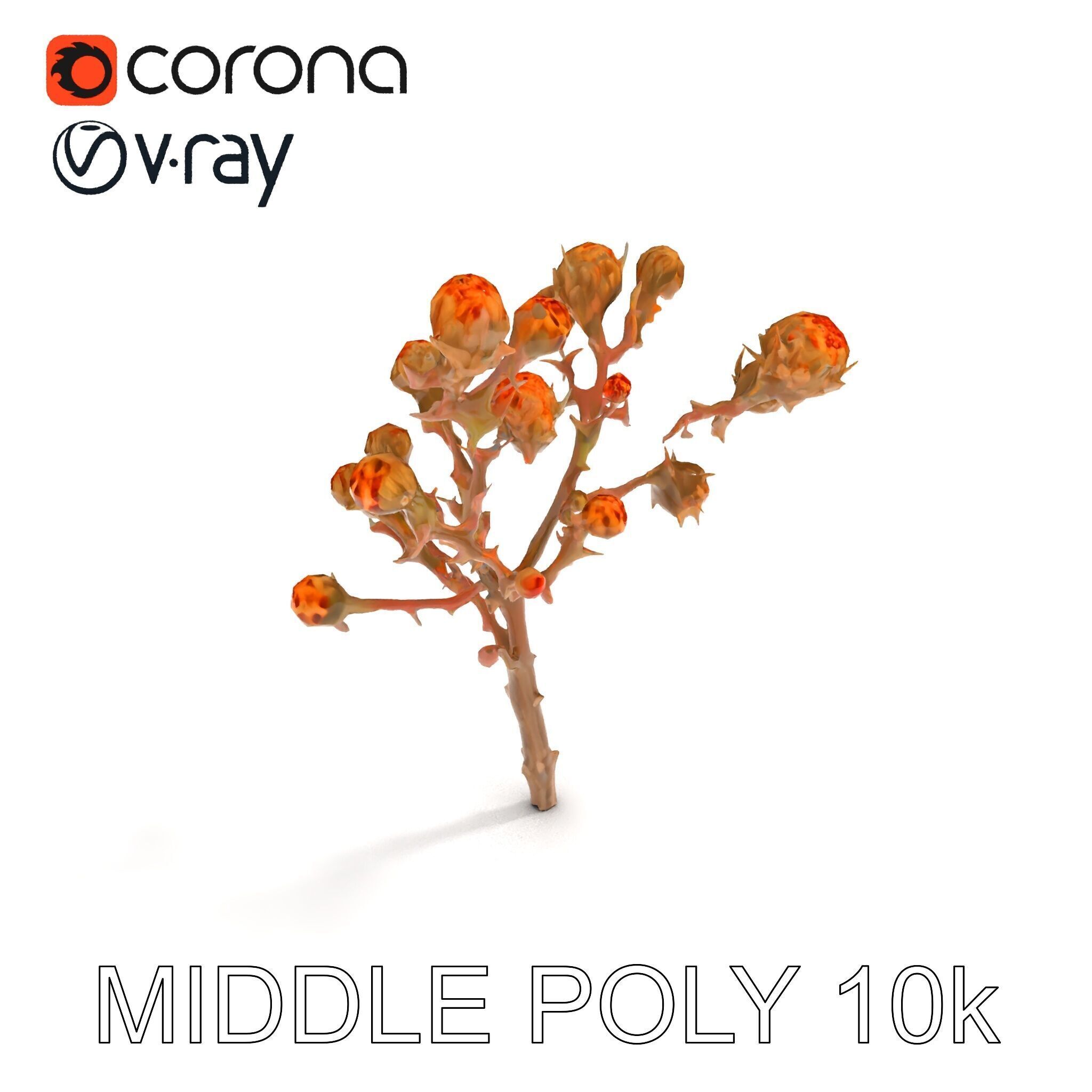 Dried Branch with Buds Model Pack Low-poly 3D model_25