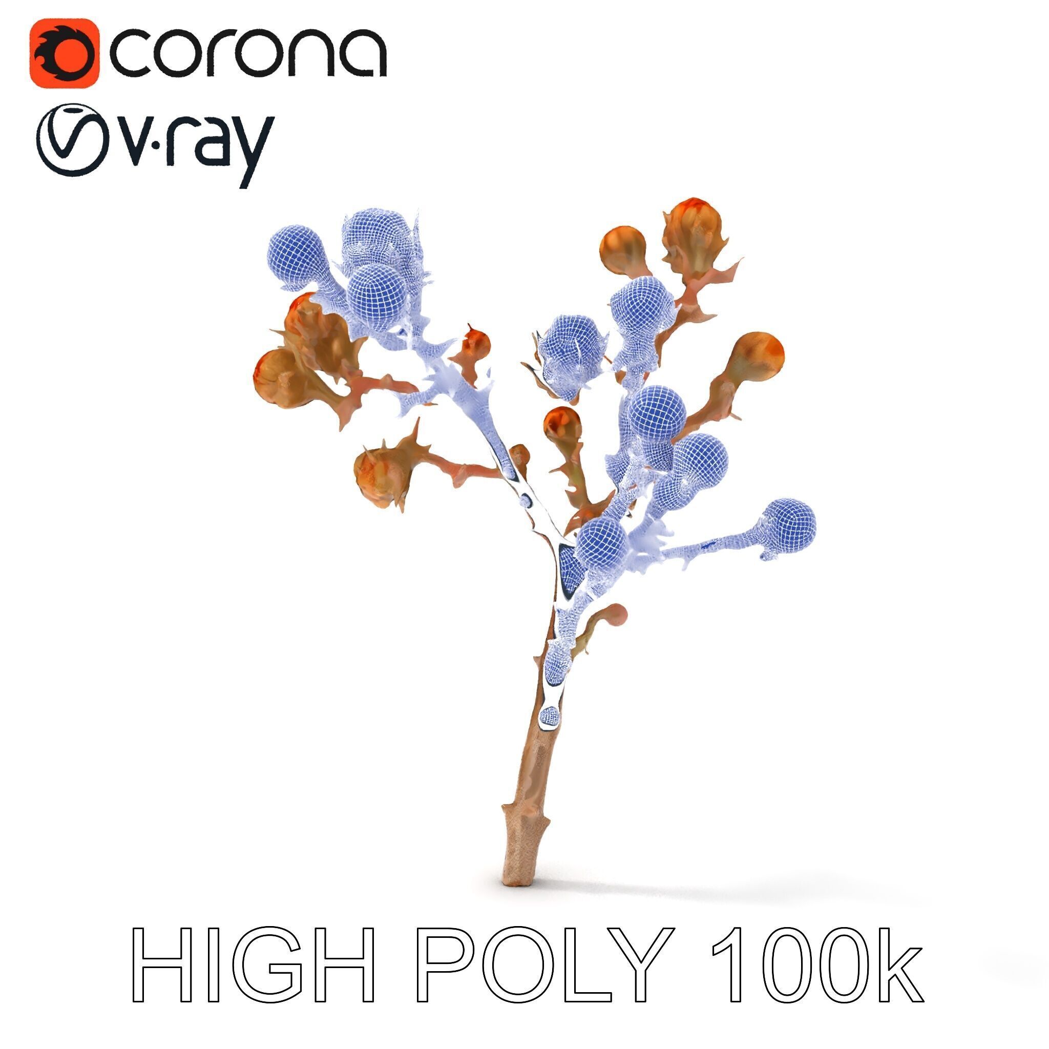 Dried Branch with Buds Model Pack Low-poly 3D model_14