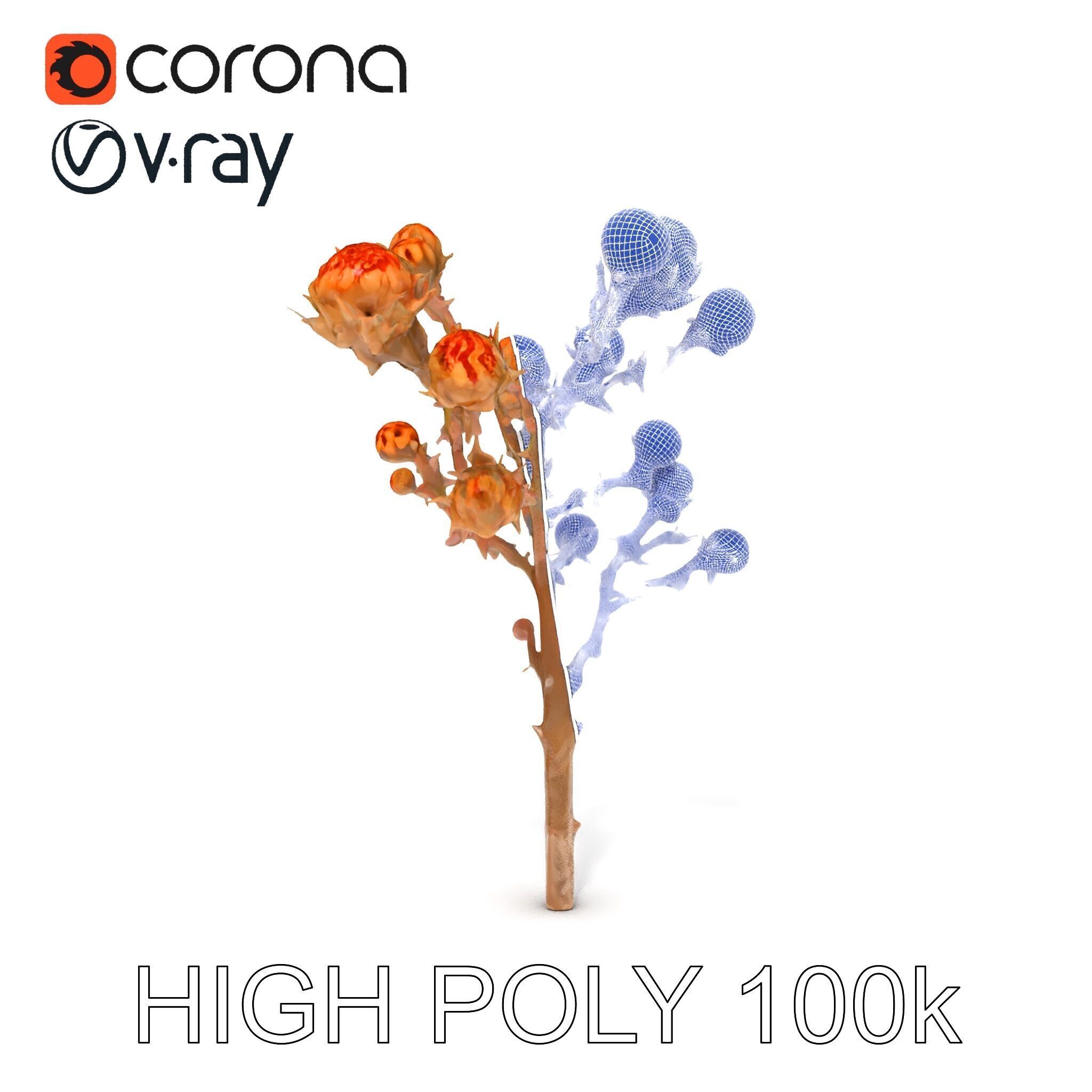 Dried Branch with Buds Model Pack Low-poly 3D model_11