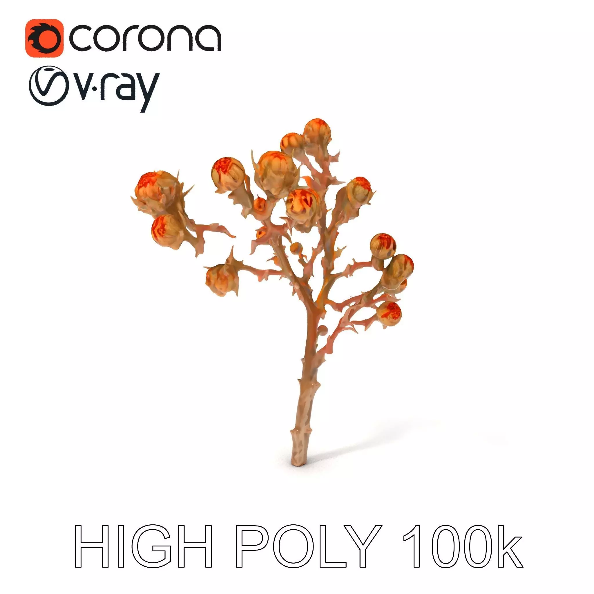 Dried Branch with Buds Model Pack Low-poly 3D model_0