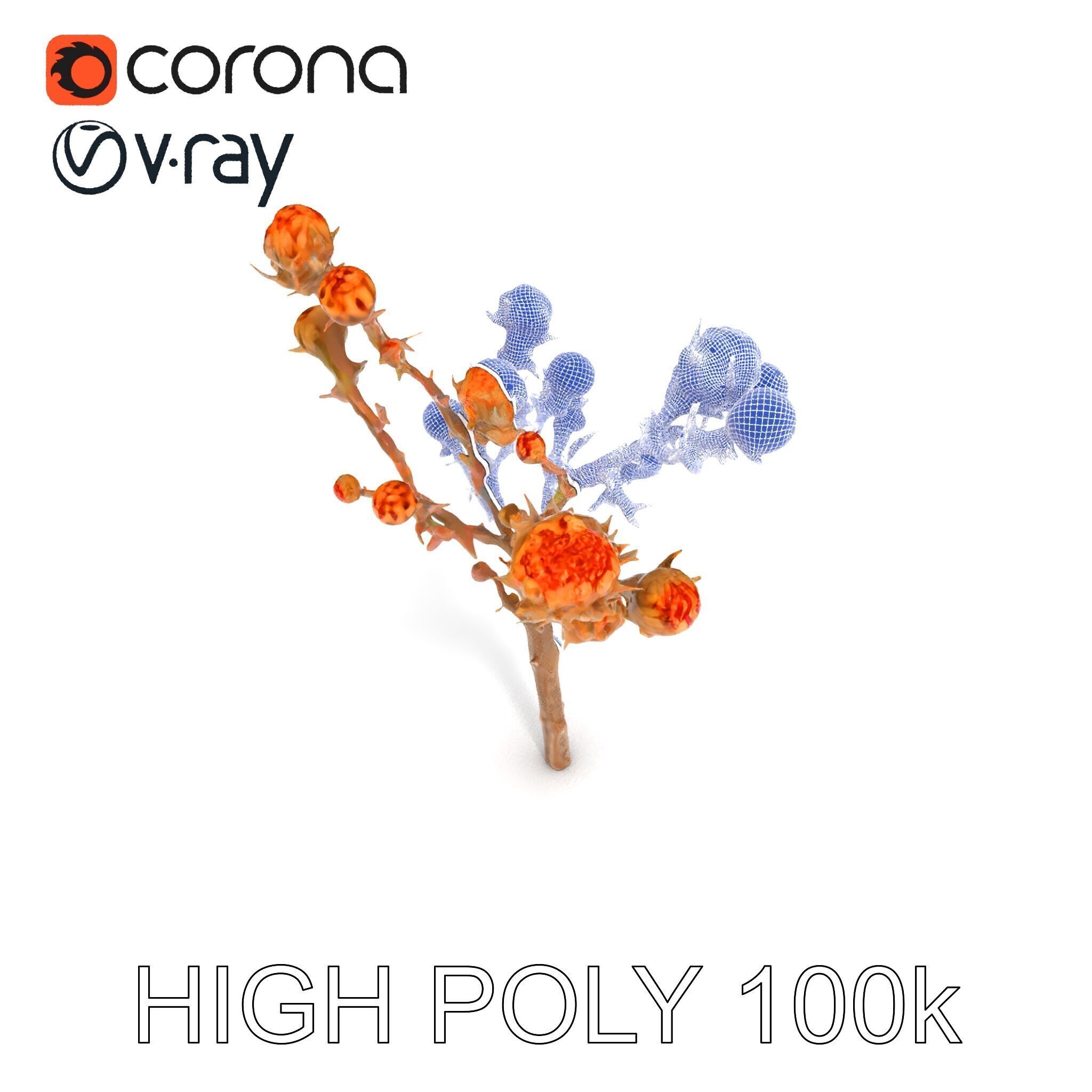 Dried Branch with Buds Model Pack Low-poly 3D model_20