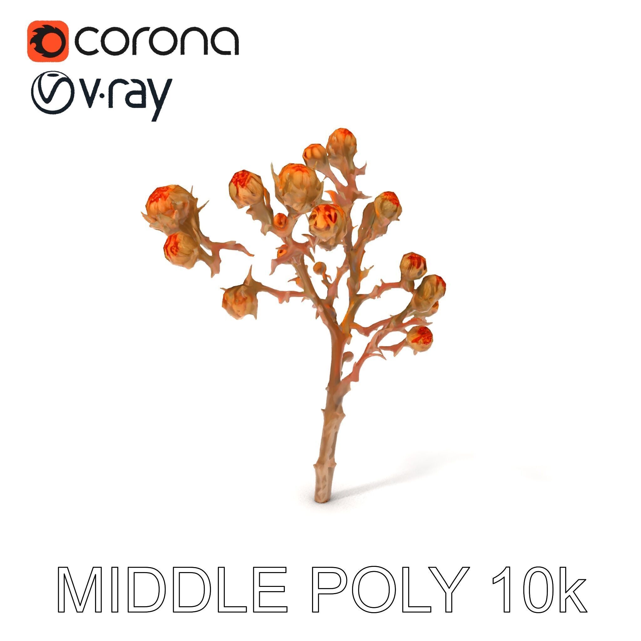 Dried Branch with Buds Model Pack Low-poly 3D model_6