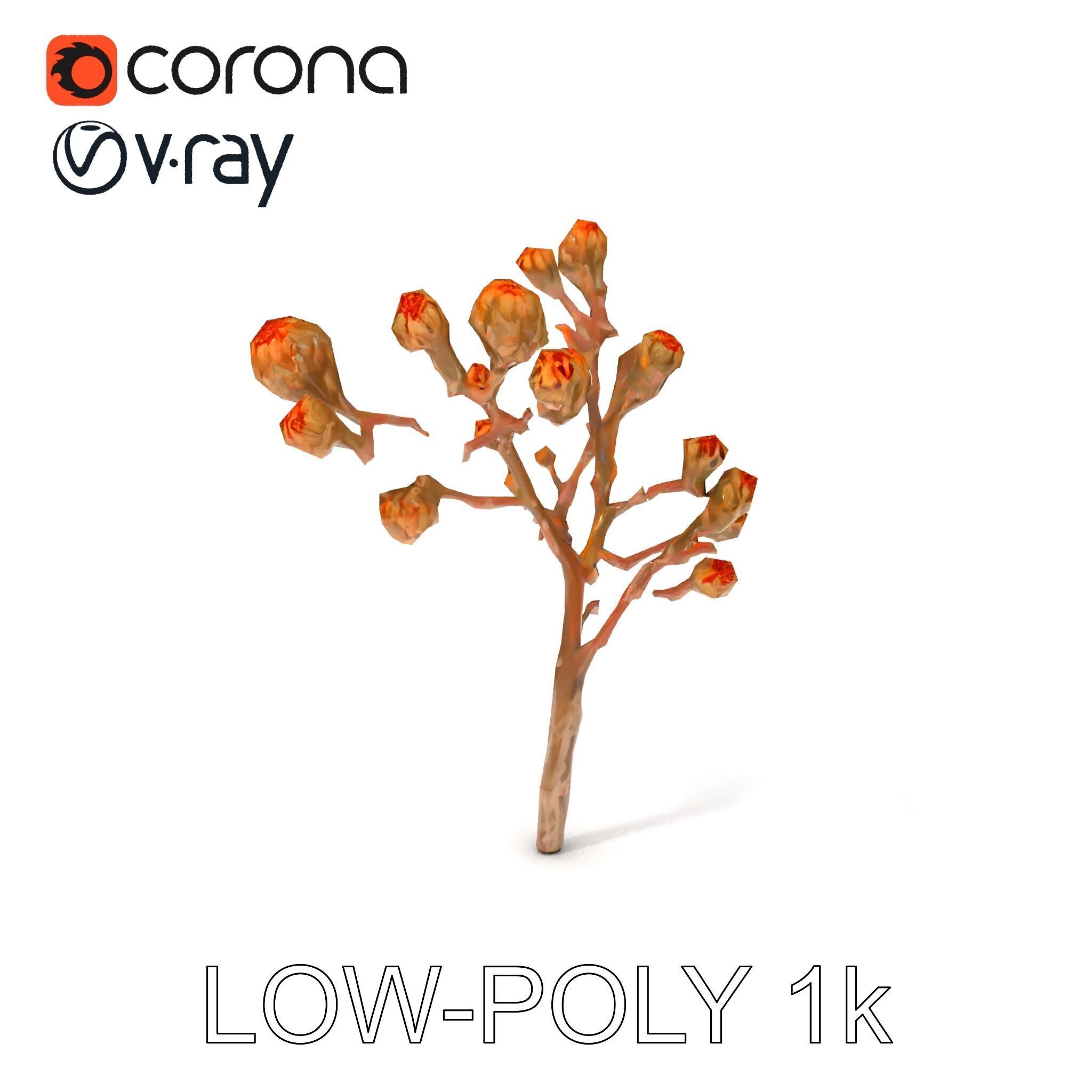 Dried Branch with Buds Model Pack Low-poly 3D model_19