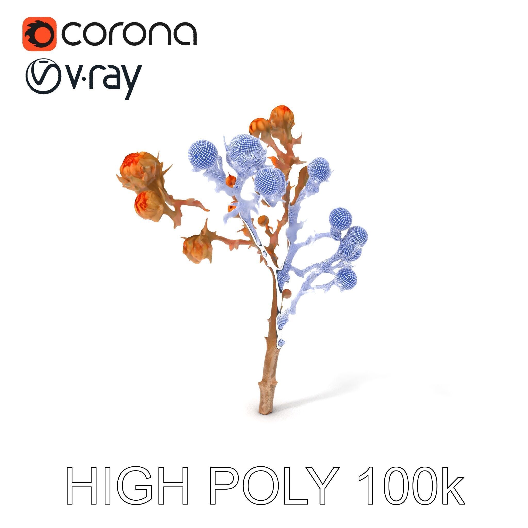 Dried Branch with Buds Model Pack Low-poly 3D model_3