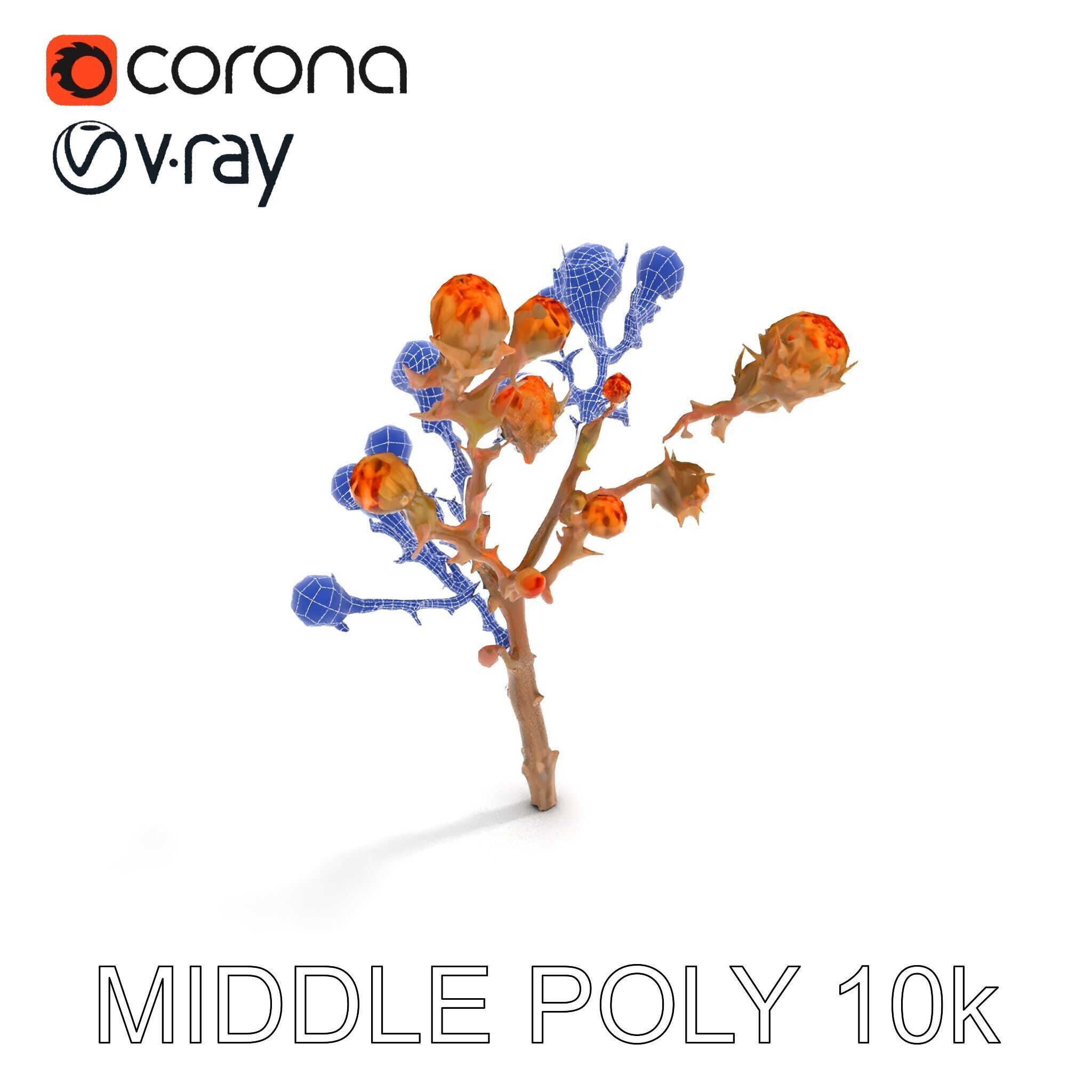 Dried Branch with Buds Model Pack Low-poly 3D model_15
