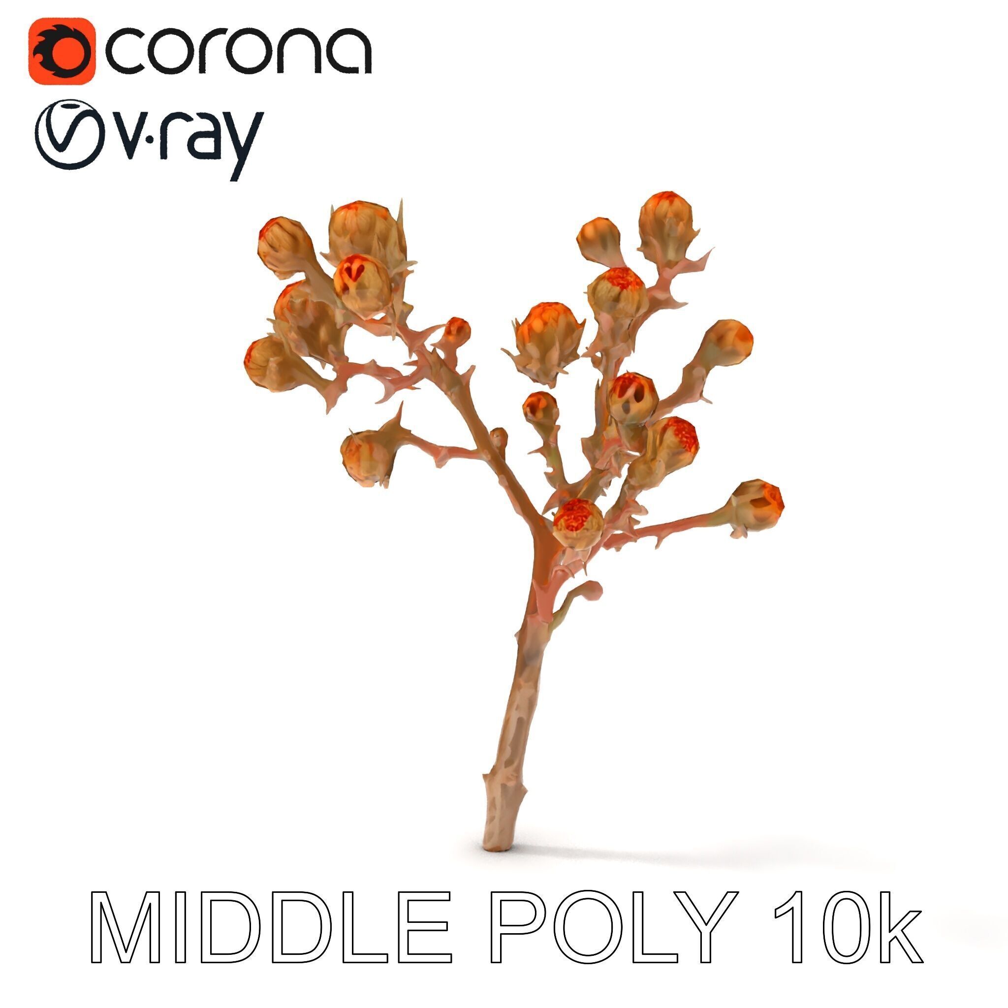 Dried Branch with Buds Model Pack Low-poly 3D model_23