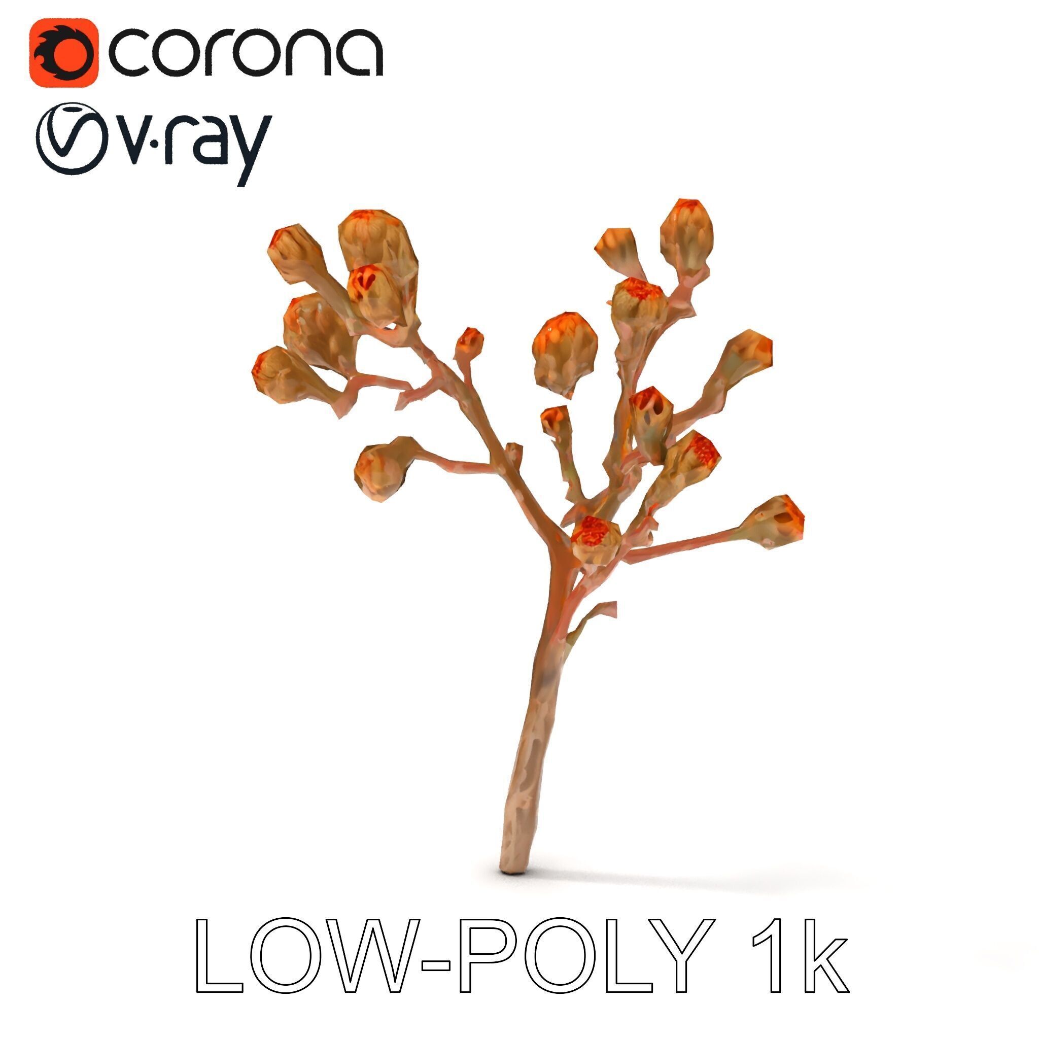 Dried Branch with Buds Model Pack Low-poly 3D model_22