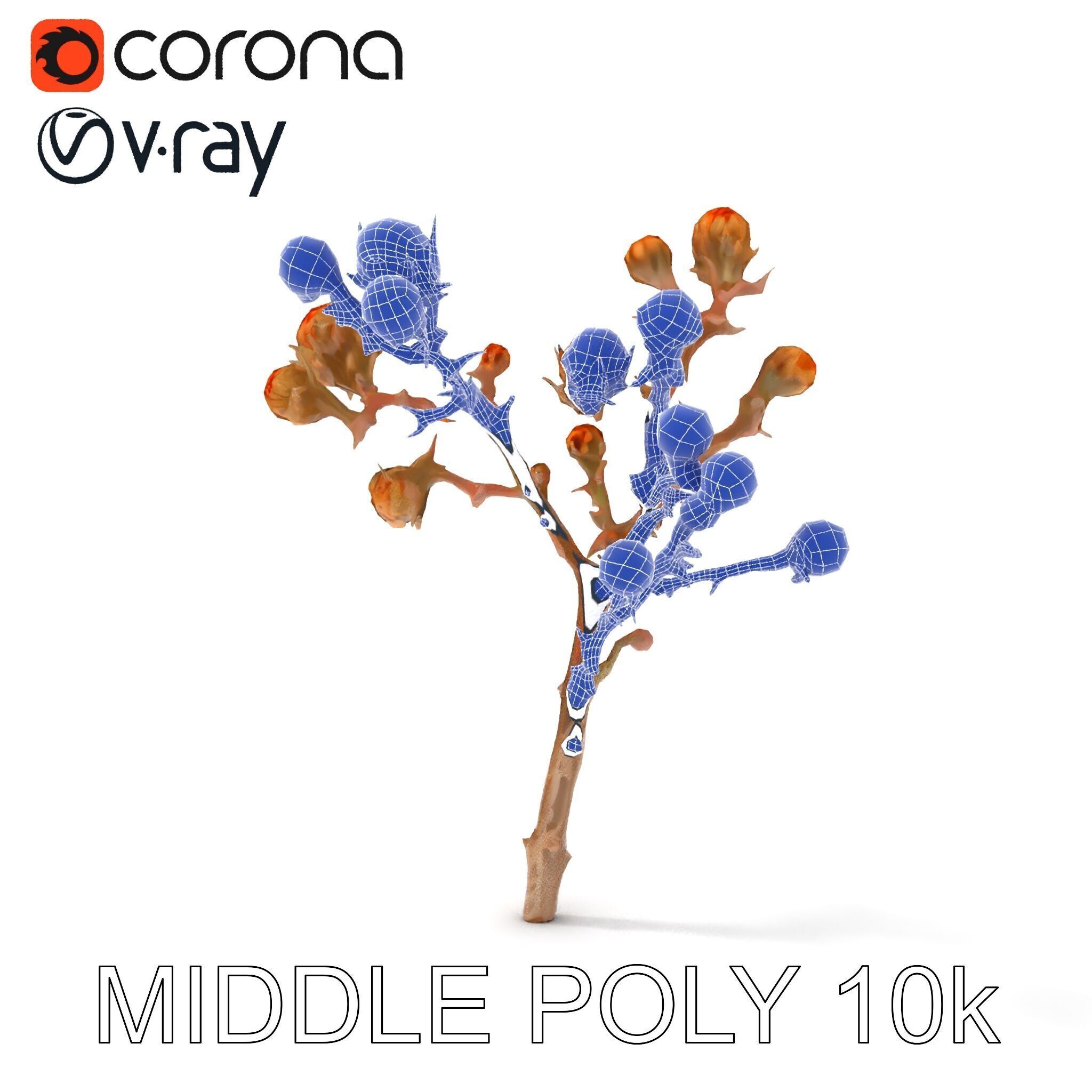 Dried Branch with Buds Model Pack Low-poly 3D model_9