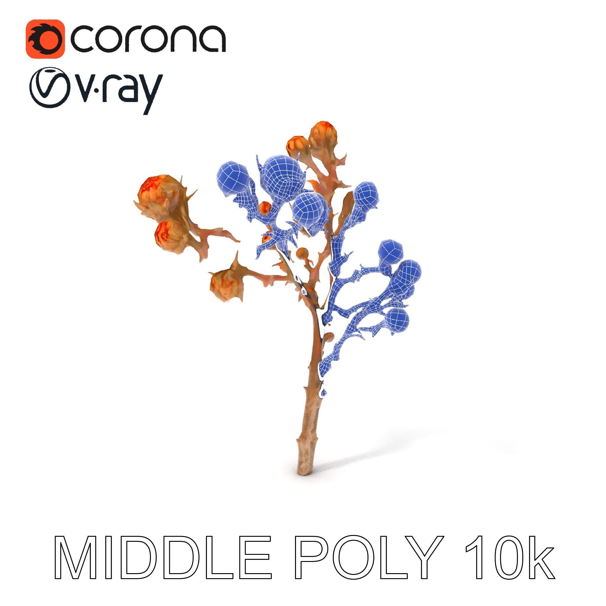 Dried Branch with Buds Model Pack Low-poly 3D model_12