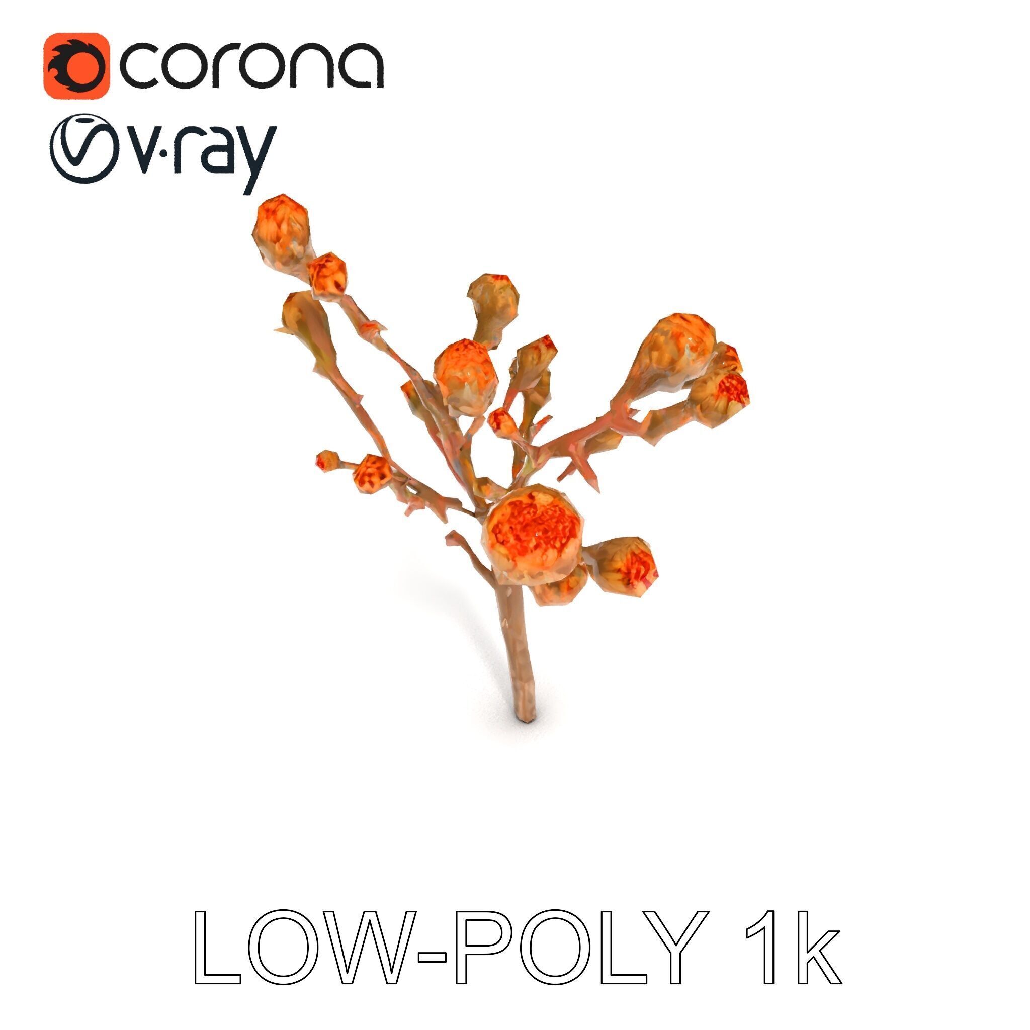 Dried Branch with Buds Model Pack Low-poly 3D model_29
