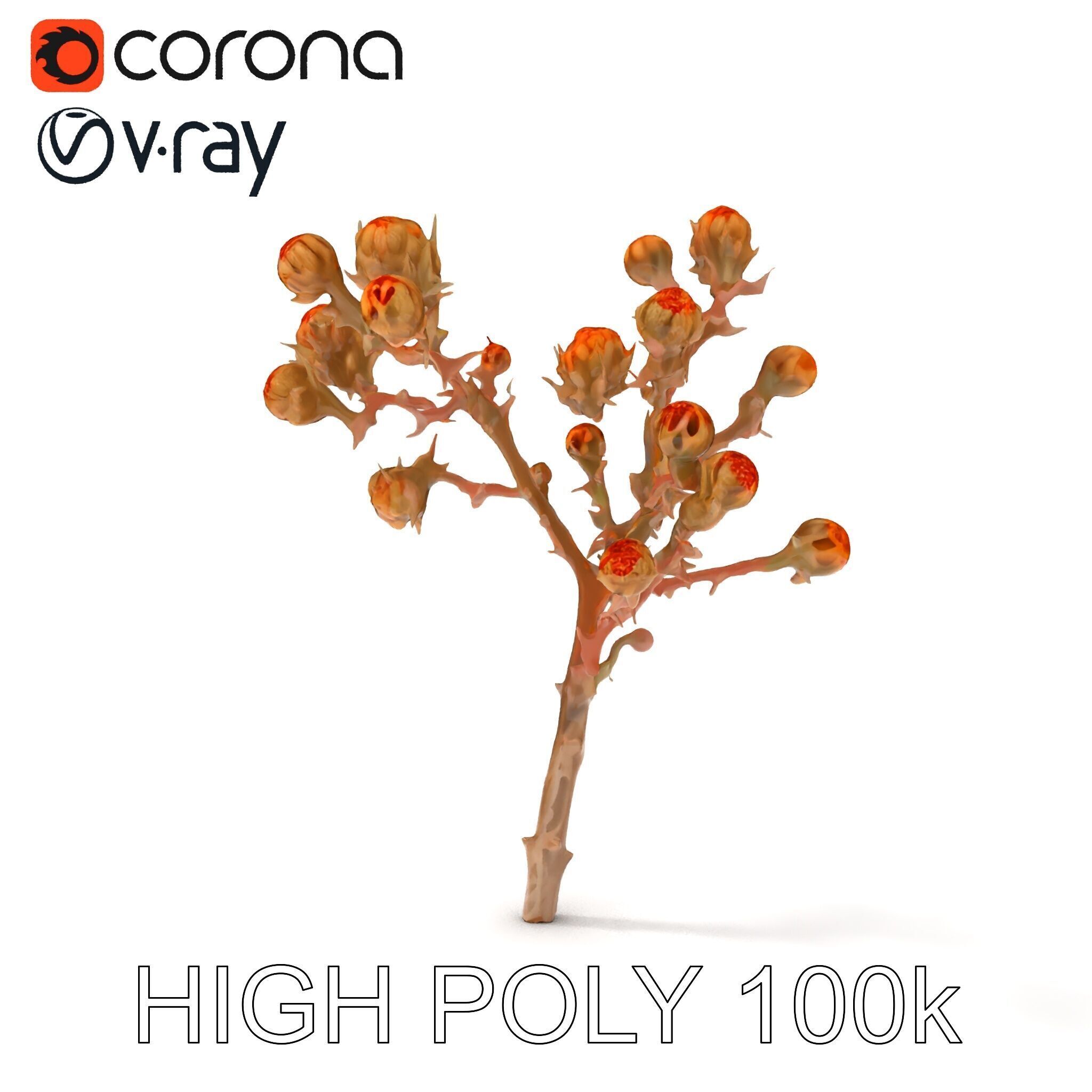 Dried Branch with Buds Model Pack Low-poly 3D model_17