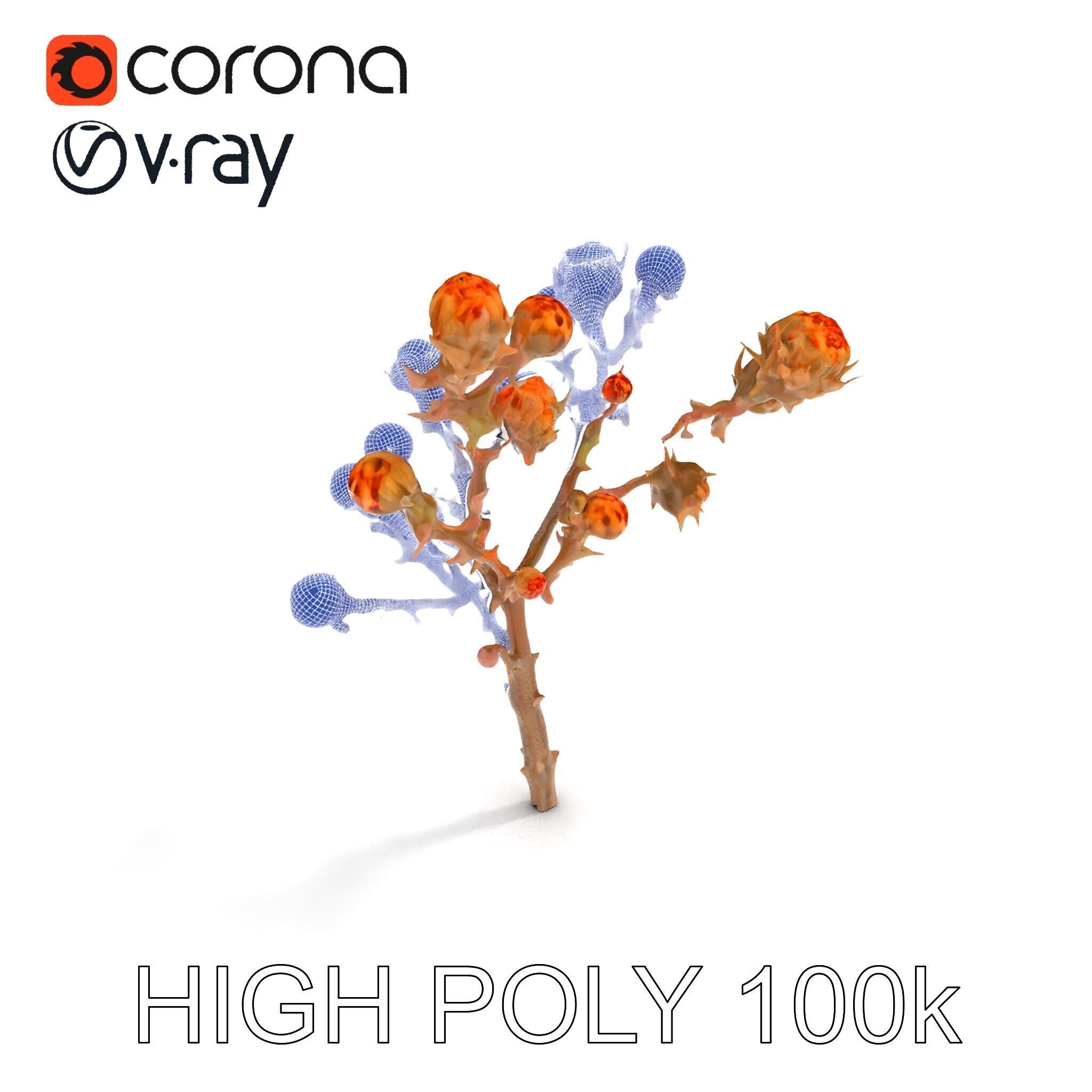 Dried Branch with Buds Model Pack Low-poly 3D model_35
