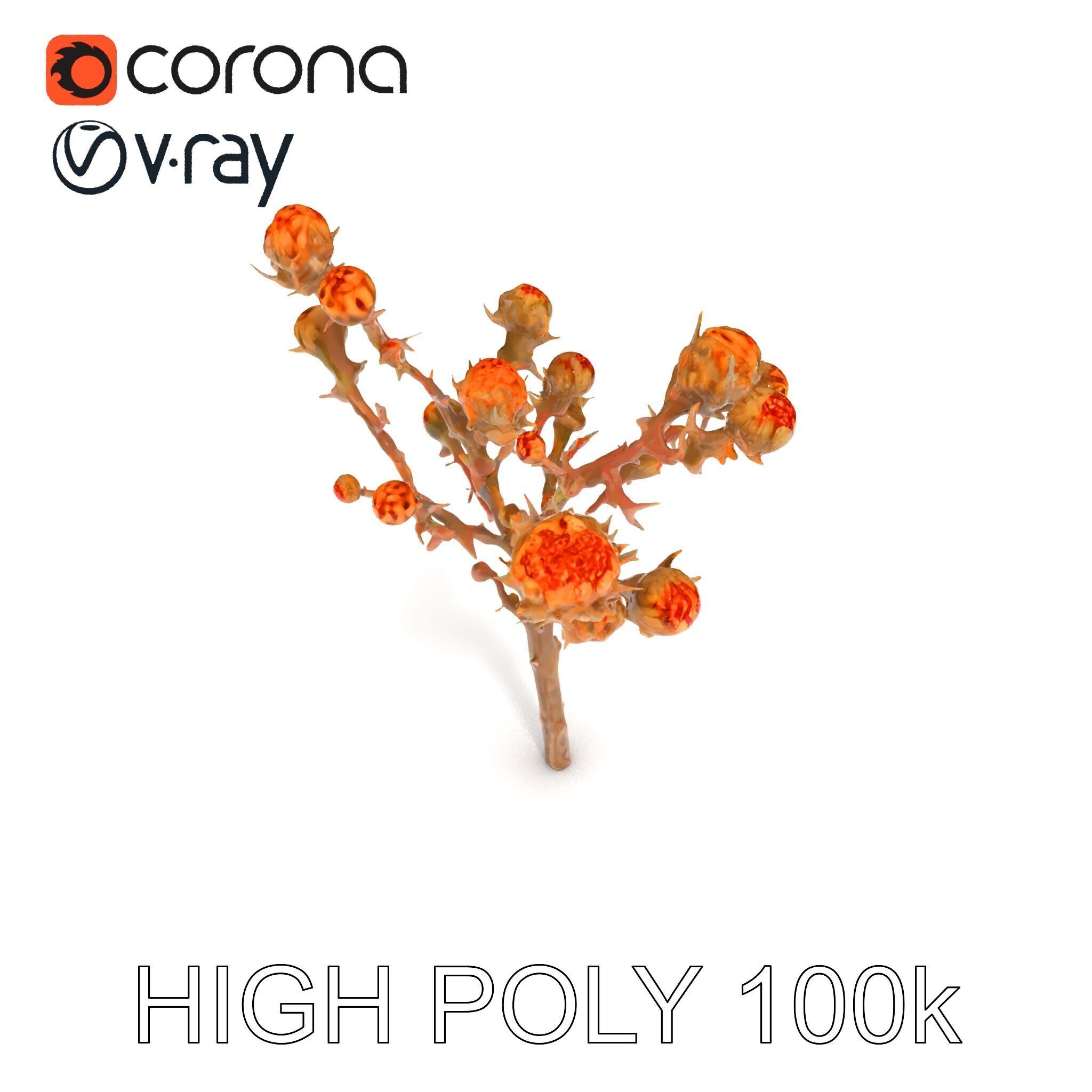 Dried Branch with Buds Model Pack Low-poly 3D model_27